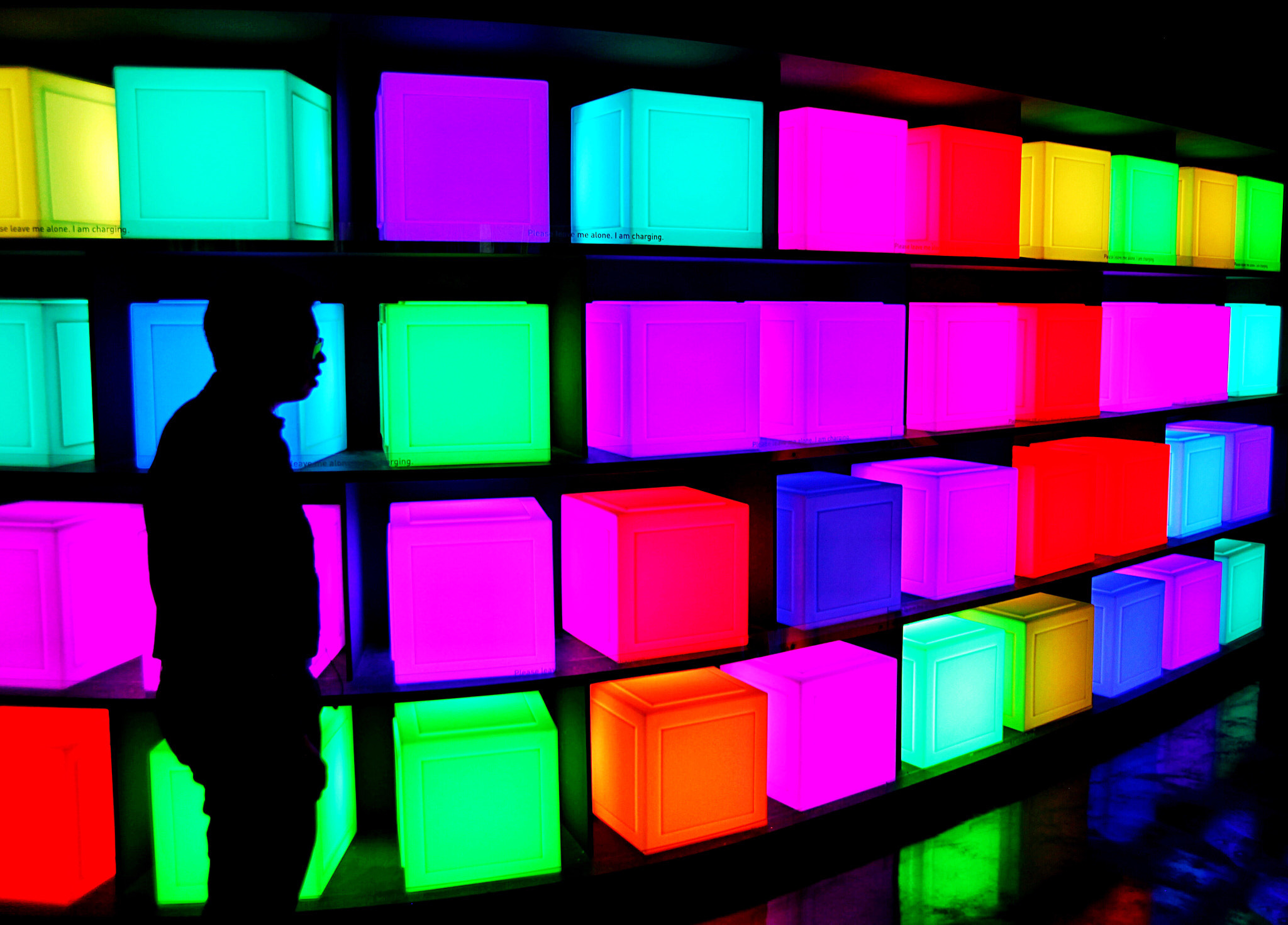 Canon EF 24-85mm F3.5-4.5 USM sample photo. Follow the rainbow photography