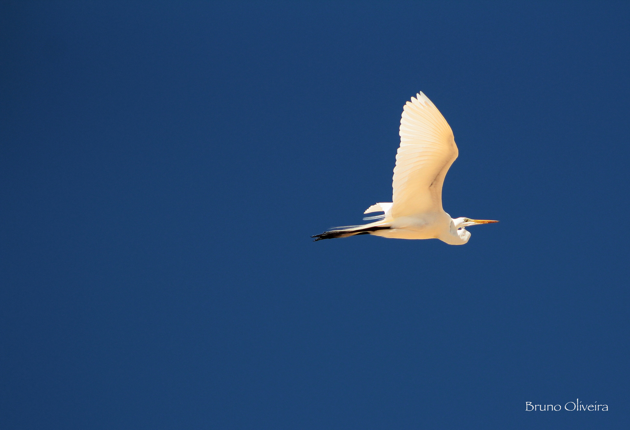 Canon EF75-300mm f/4-5.6 sample photo