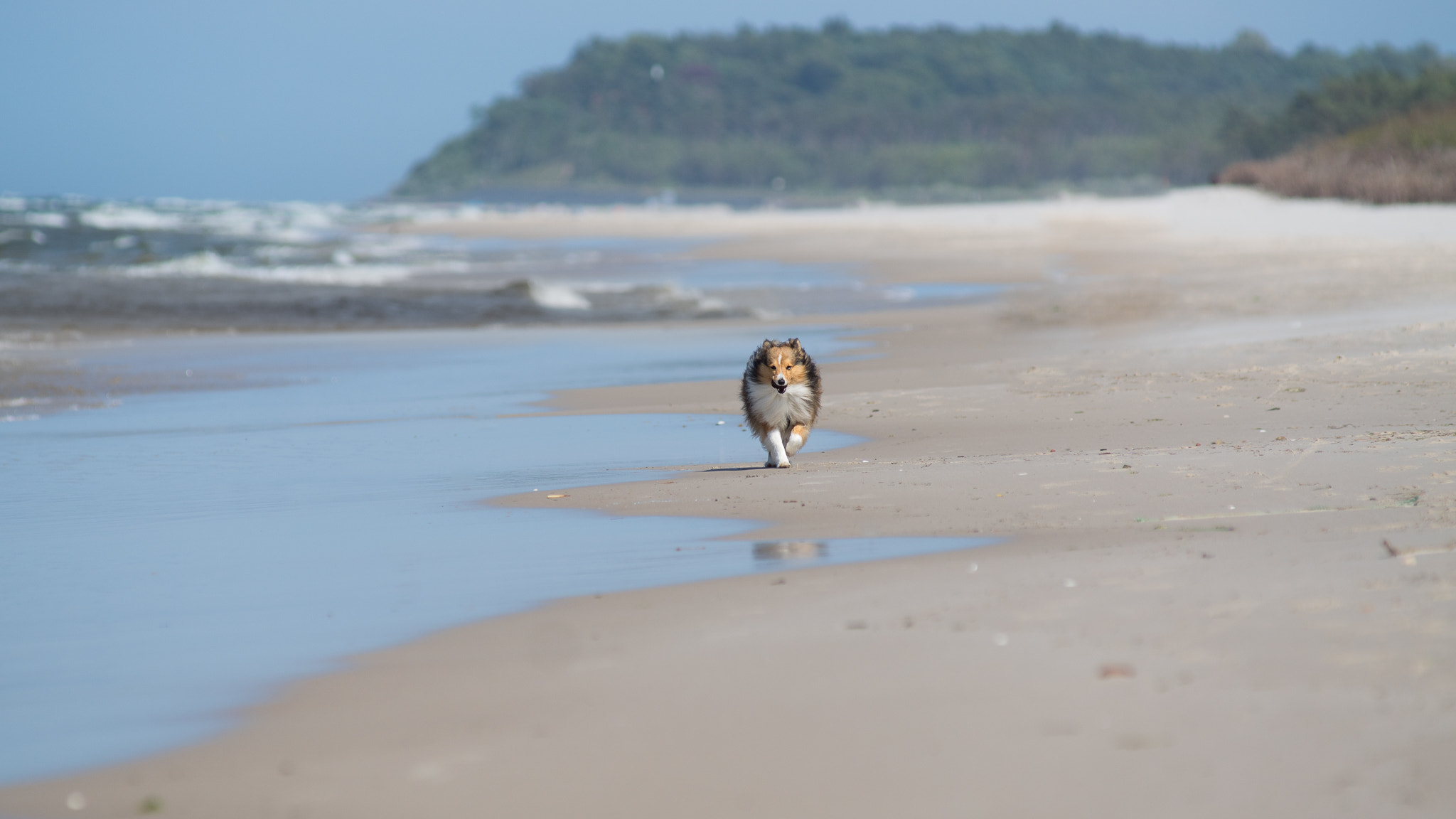 Sony ILCA-77M2 + Minolta AF 80-200mm F2.8 HS-APO G sample photo. My beach! photography