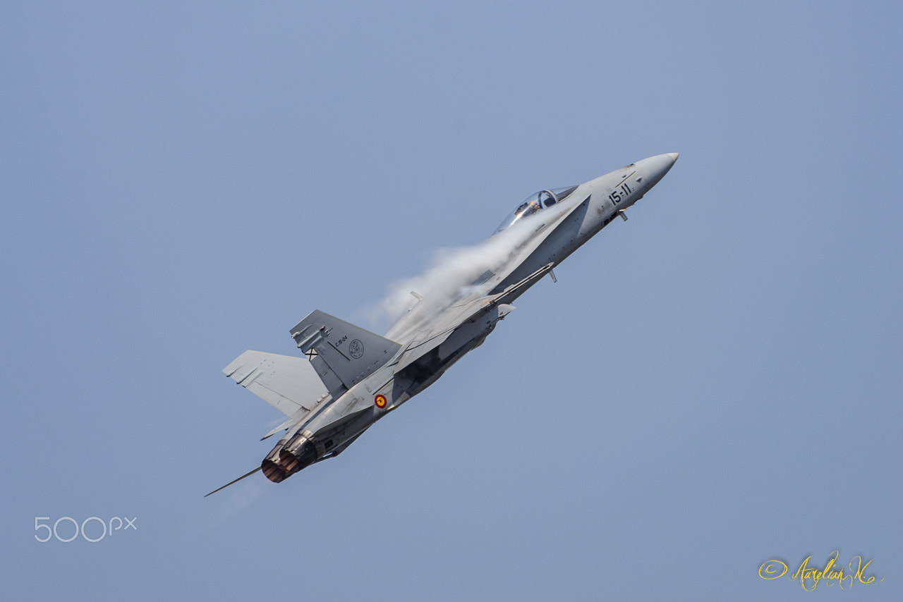 Nikon D600 sample photo. Ef-18m hornet photography