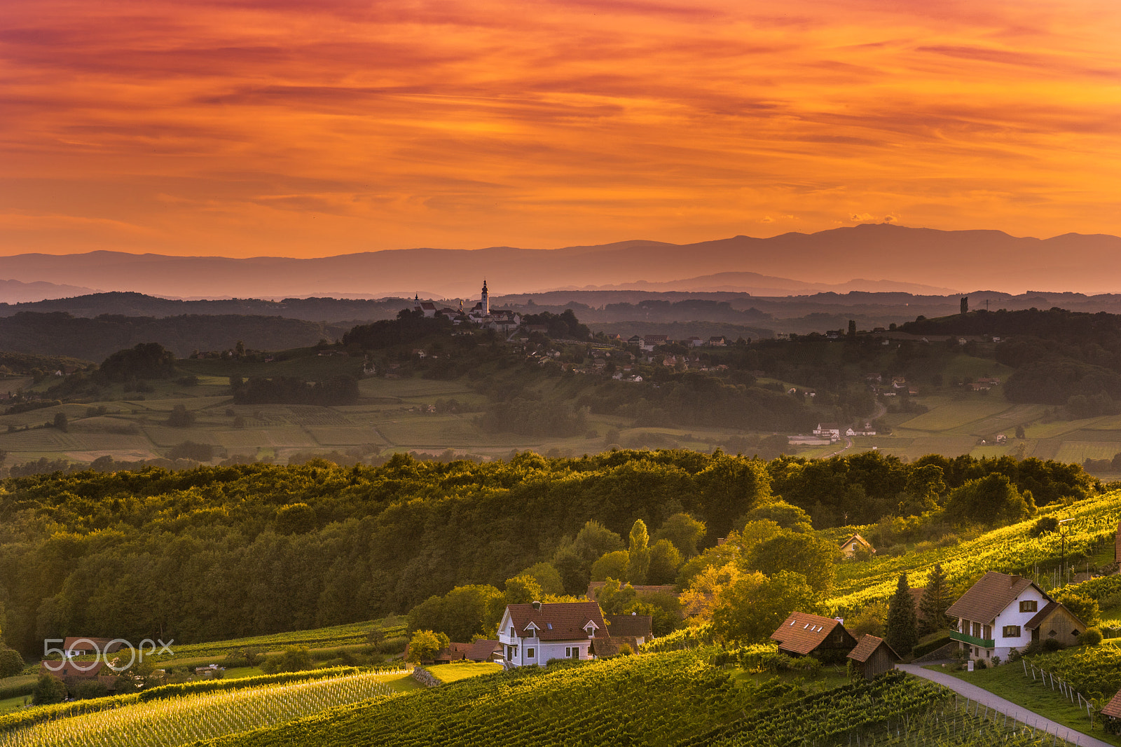 Sony ILCA-77M2 + Minolta/Sony AF 70-200mm F2.8 G sample photo. Weinland-steiermark photography