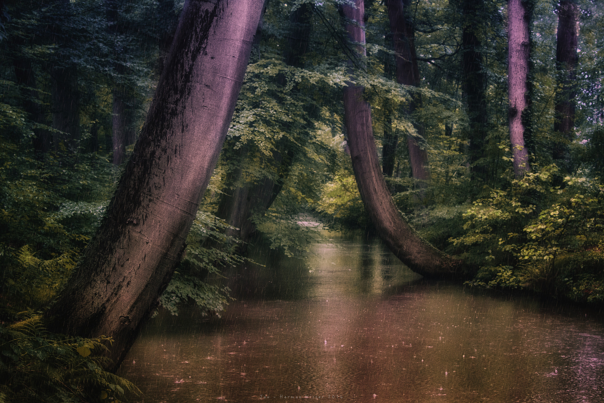 Canon EF 50-200mm f/3.5-4.5 sample photo. It was a raining day... photography