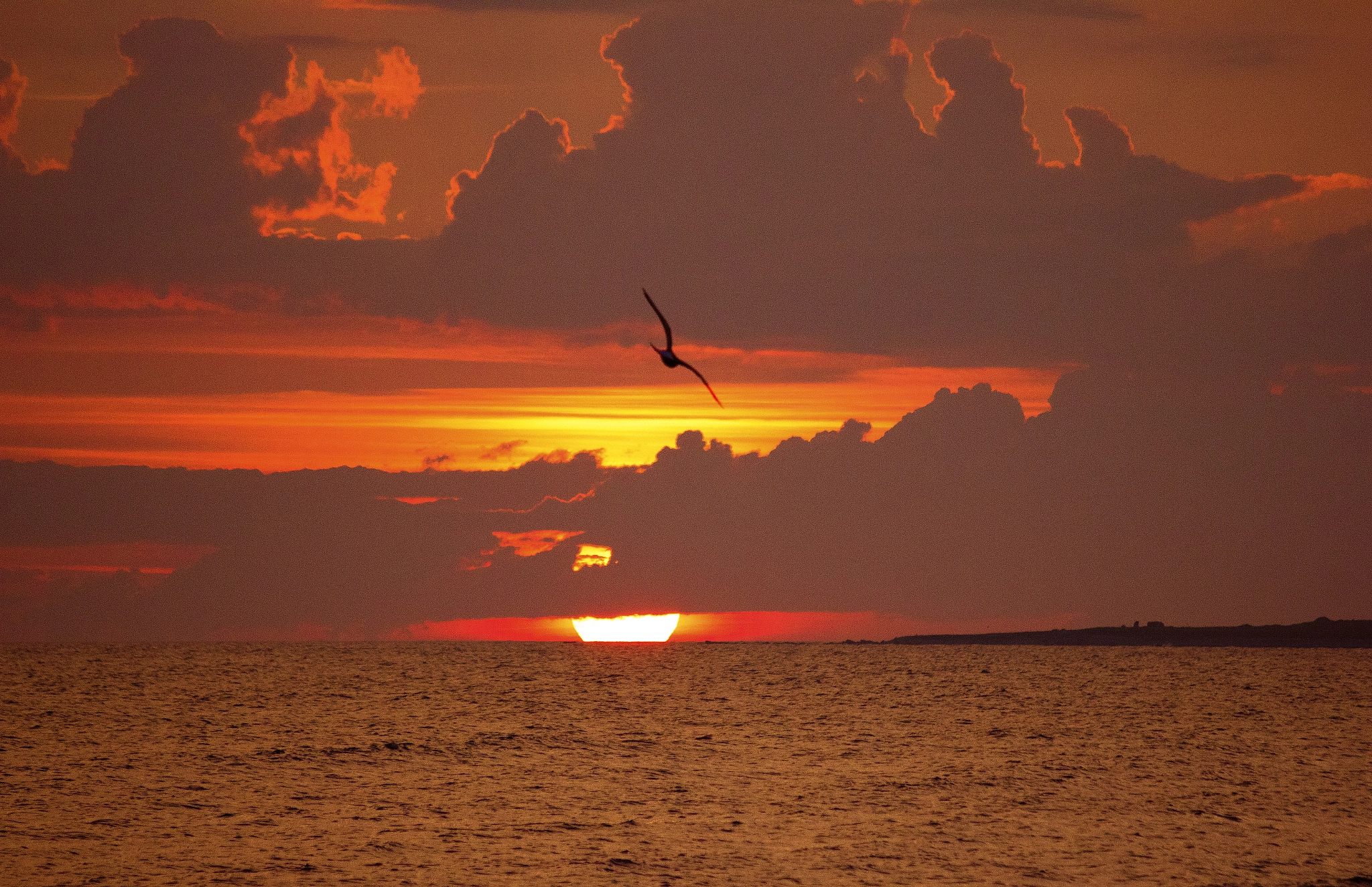 Sigma 50-200mm F4-5.6 DC OS HSM sample photo. Magic sunset photography