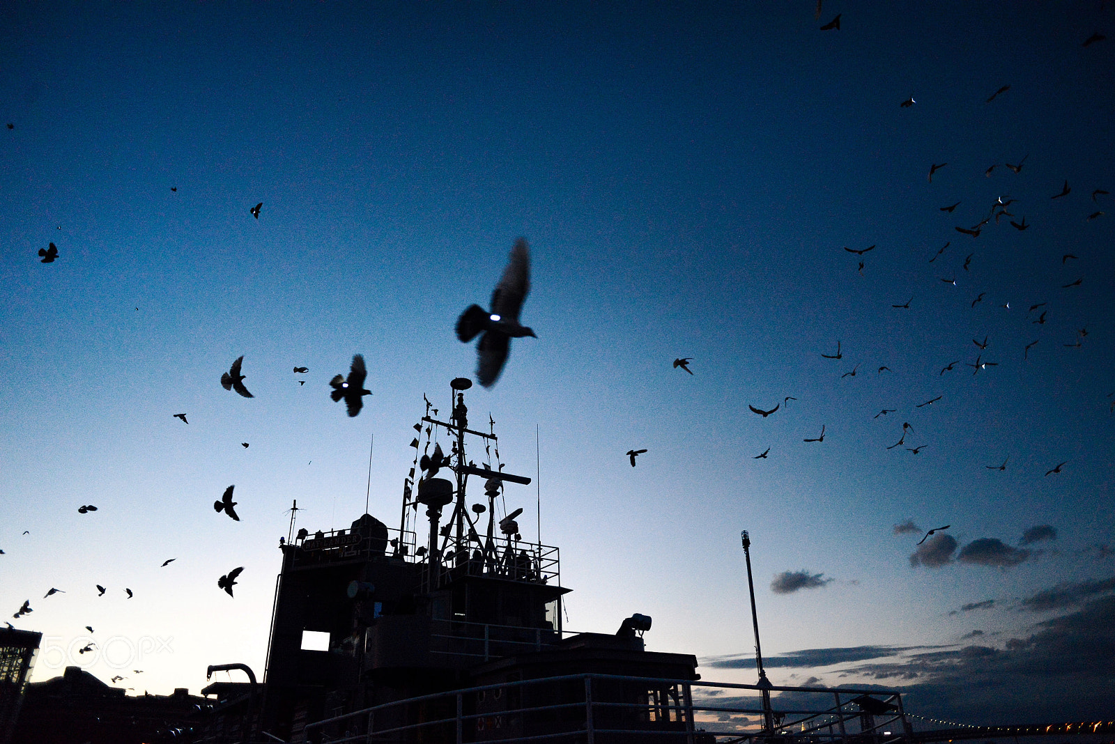 Nikon D600 + Nikon AF Nikkor 24mm F2.8D sample photo. Fly by night - in the air photography