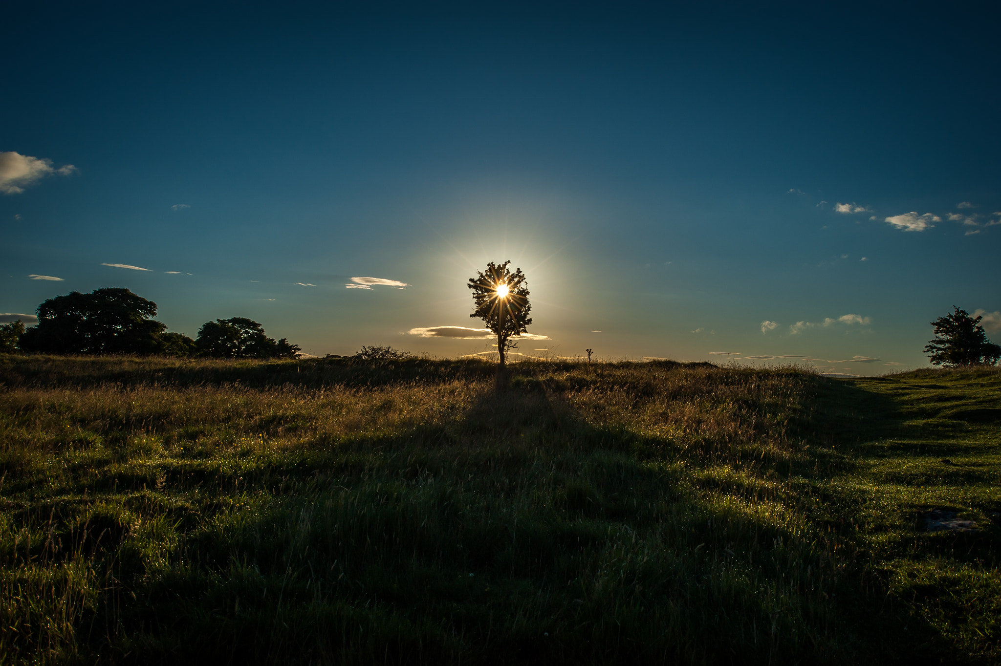 AF Zoom-Nikkor 28-80mm f/3.3-5.6G sample photo. The tree of light  photography