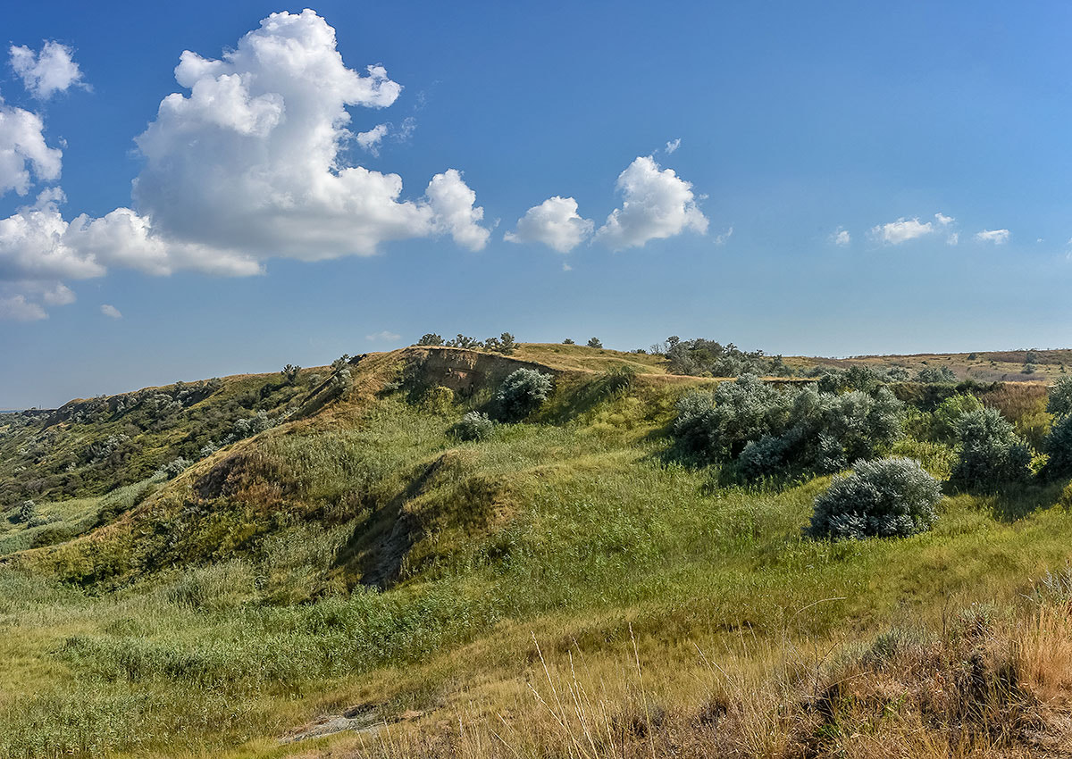 AF Zoom-Nikkor 28-105mm f/3.5-4.5D IF sample photo. Летний день photography