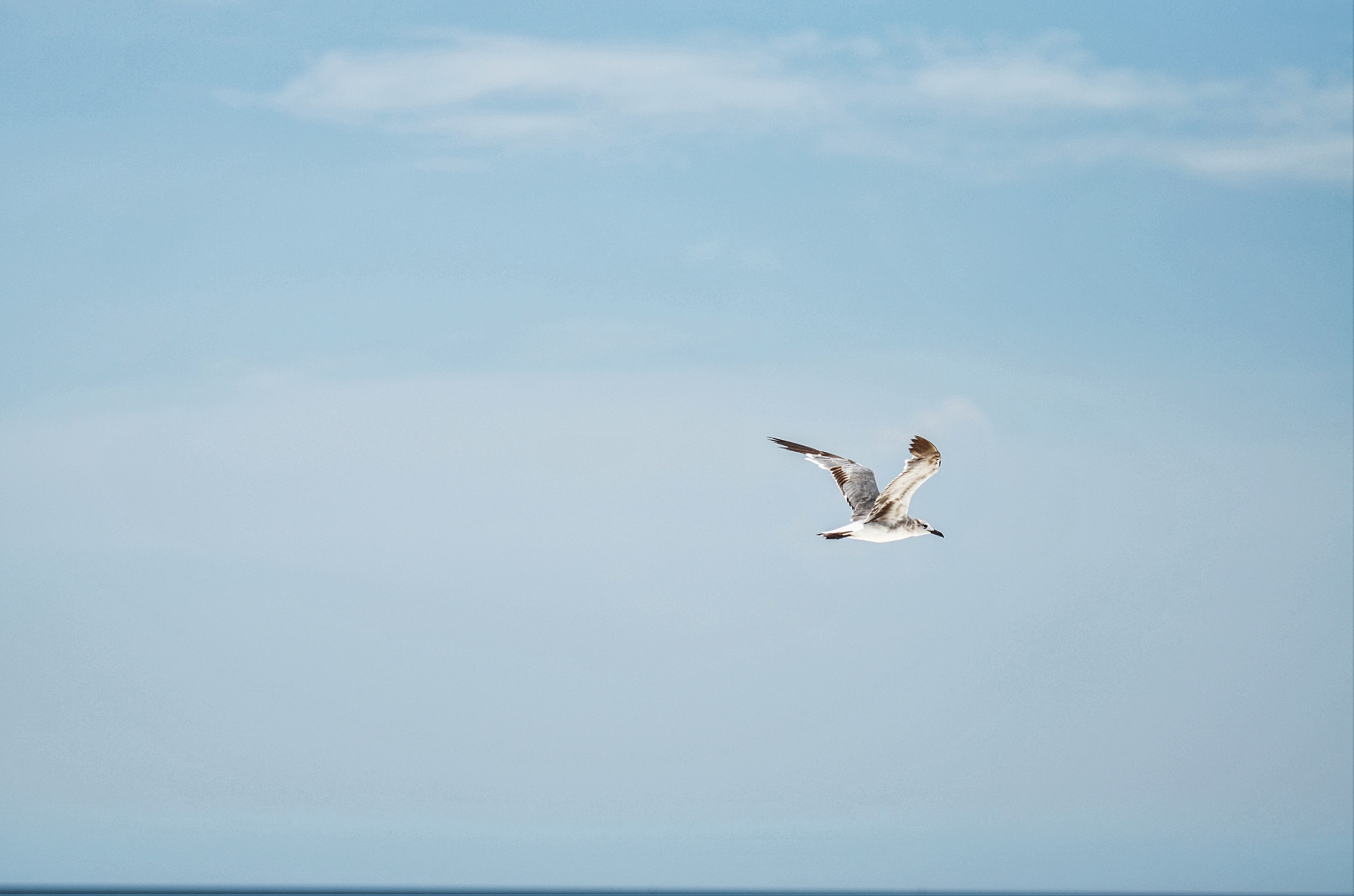 Nikon AF-S Nikkor 70-200mm F2.8G ED VR II sample photo. Vitamin sea. photography