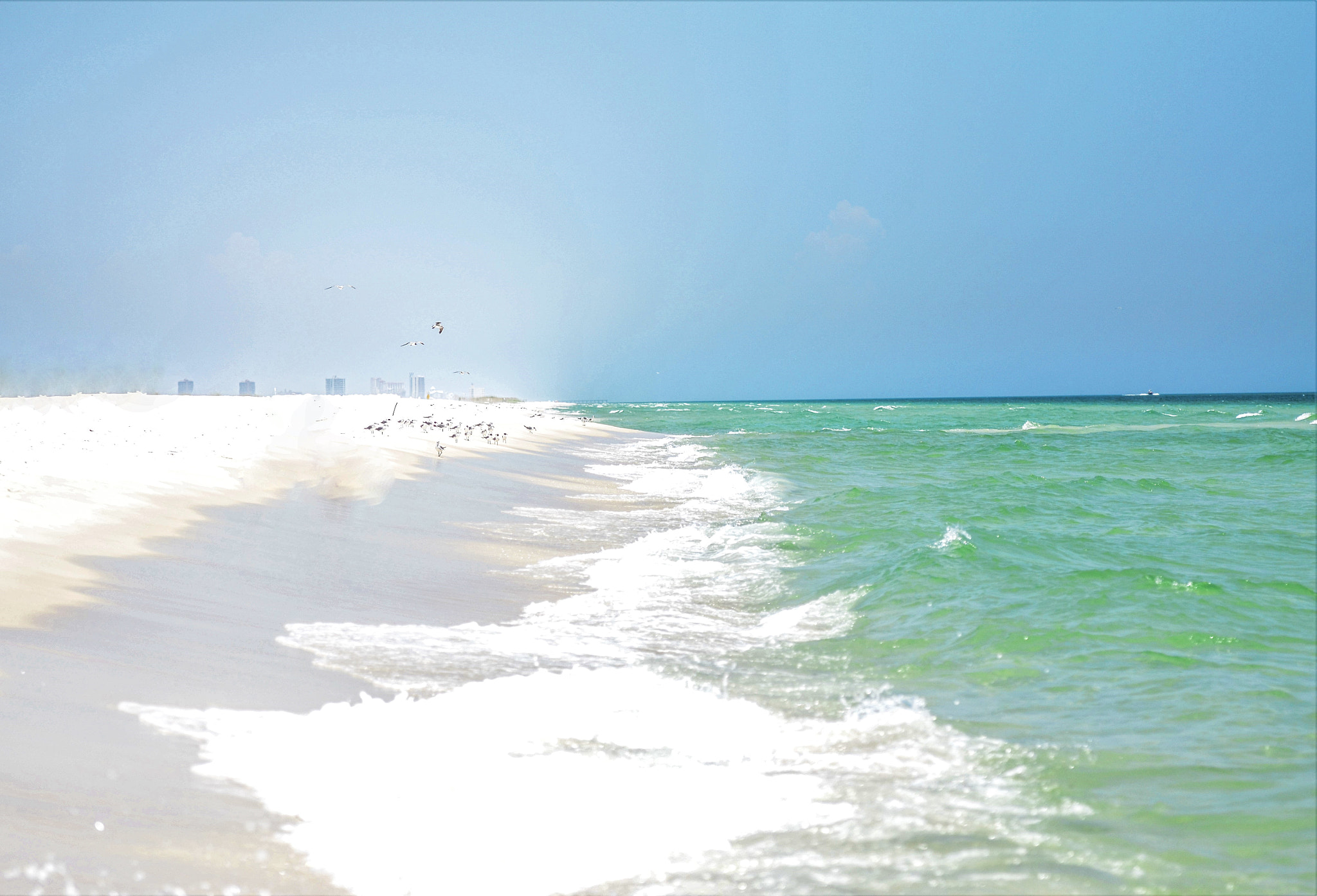 Nikon AF-S Nikkor 70-200mm F2.8G ED VR II sample photo. Vitamin sea. photography
