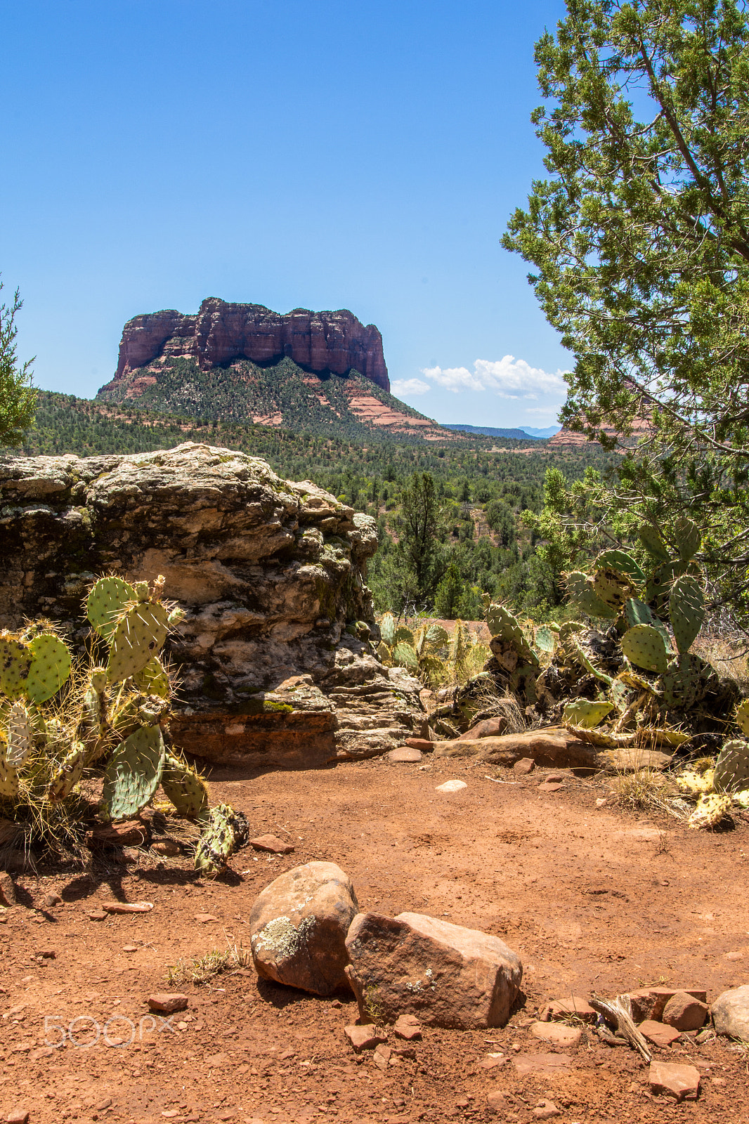 Nikon D7100 + Sigma 24-105mm F4 DG OS HSM Art sample photo. Sedona arizona photography