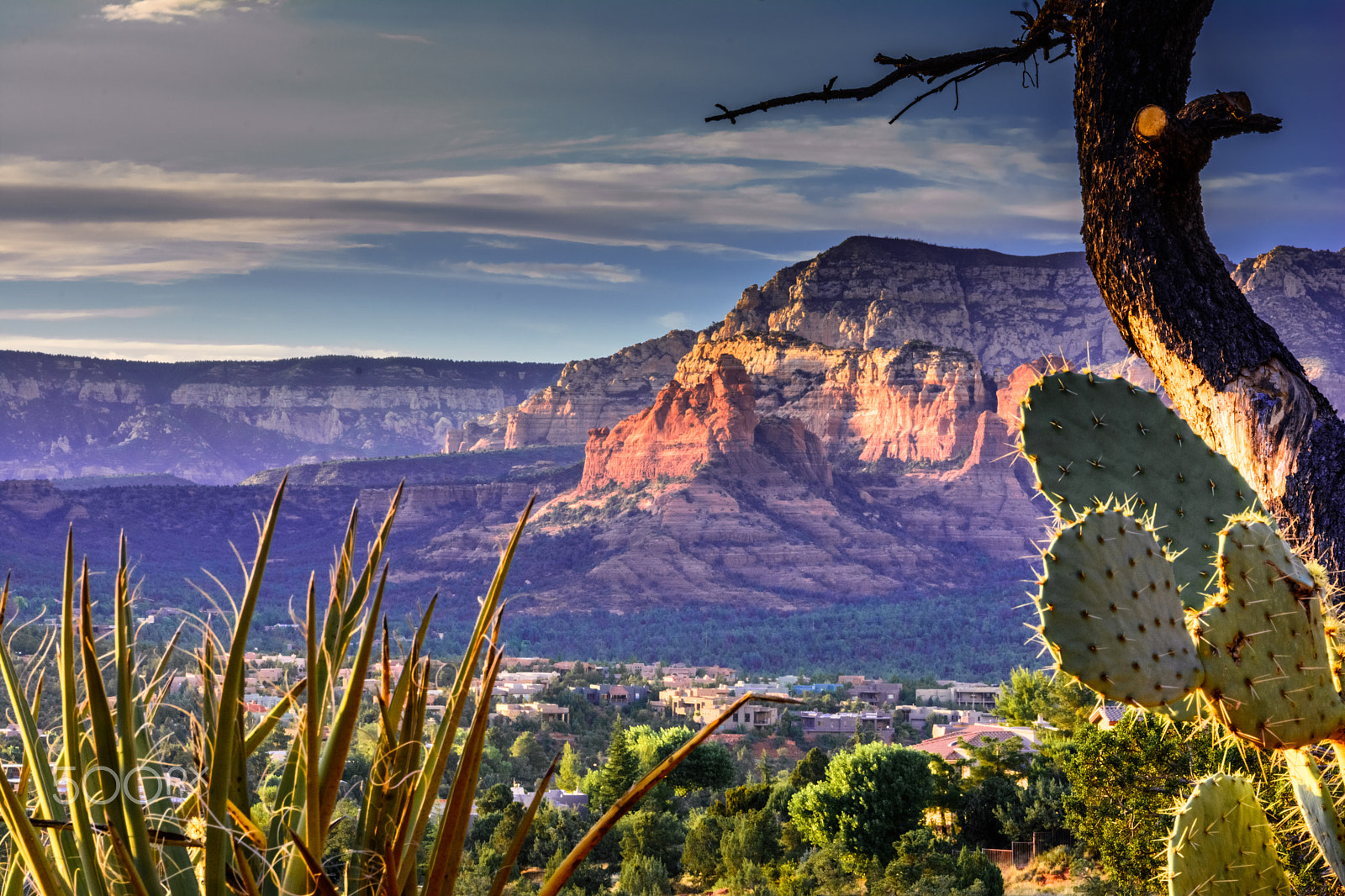Nikon D7100 + Sigma 24-105mm F4 DG OS HSM Art sample photo. Sedona arizona photography