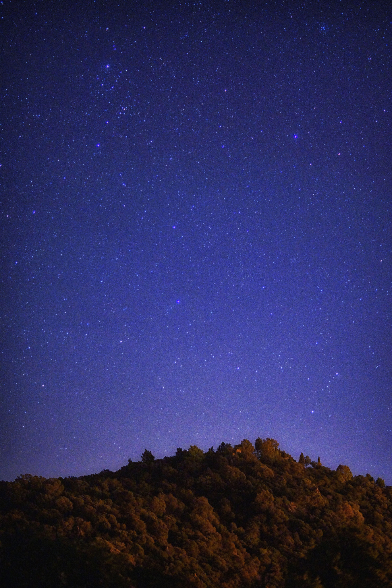 Sony SLT-A65 (SLT-A65V) + Sony DT 50mm F1.8 SAM sample photo. << i have a dream >> photography