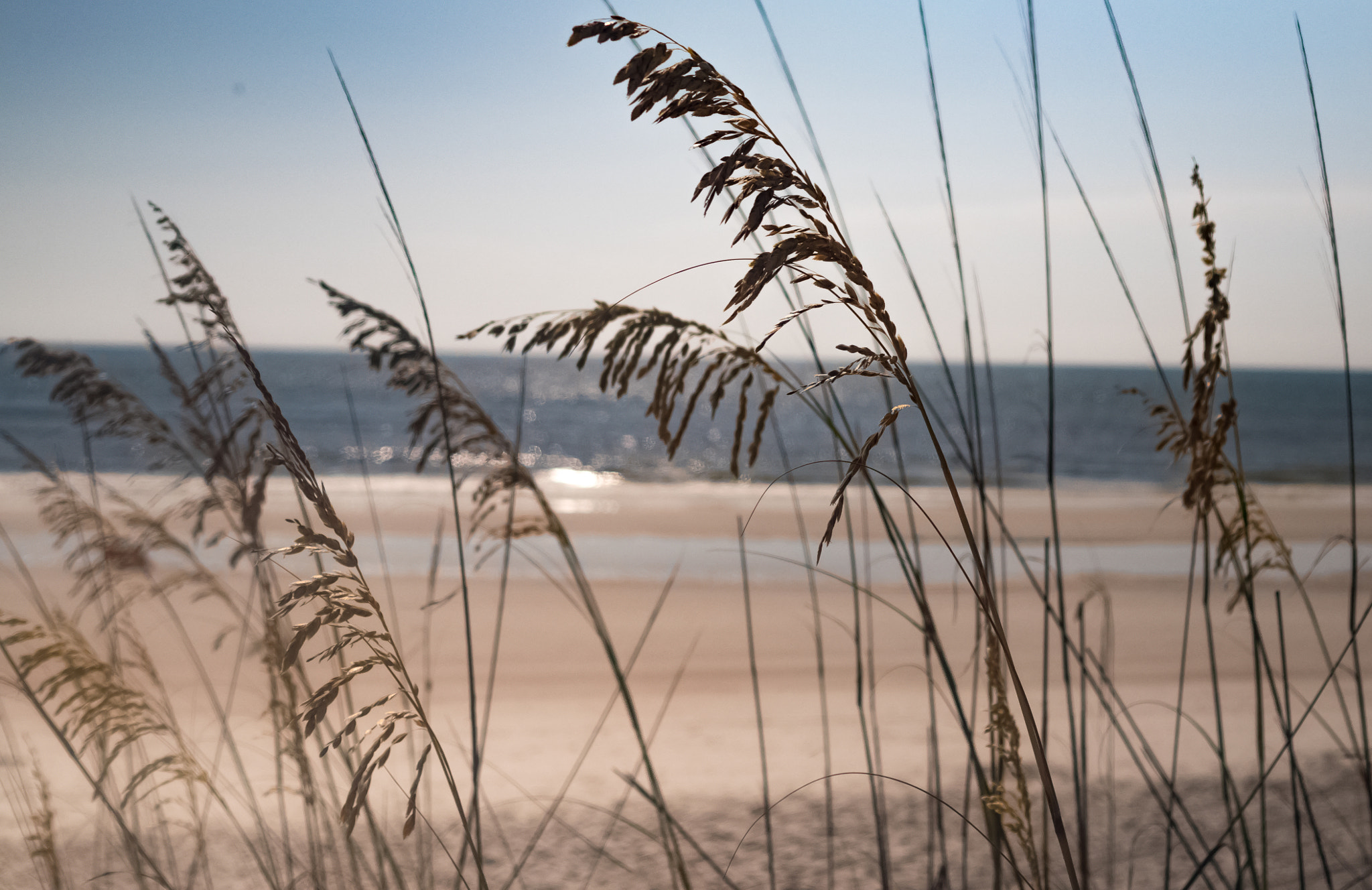 Panasonic Lumix DMC-GX8 + Panasonic Leica DG Summilux 25mm F1.4 II ASPH sample photo. Arriving at the beach photography