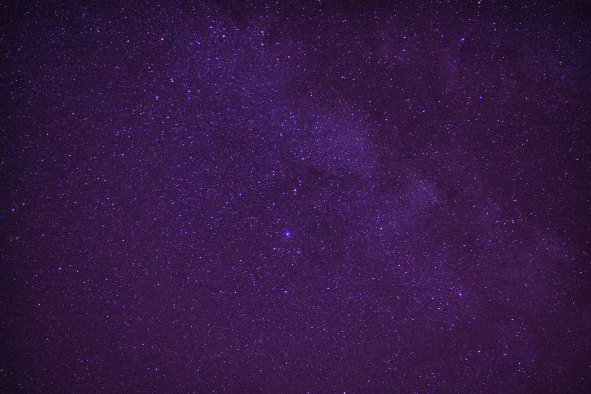Sony SLT-A65 (SLT-A65V) + Sony DT 50mm F1.8 SAM sample photo. << the first beauty >> photography