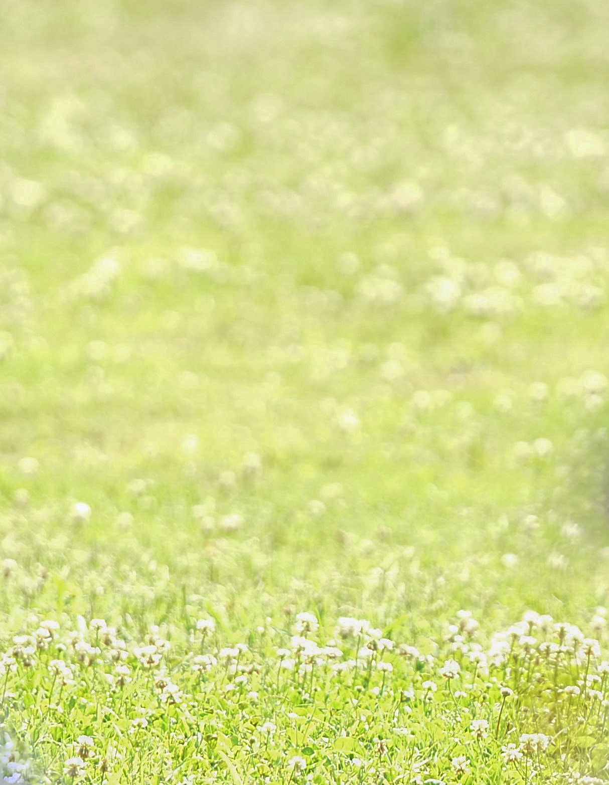 Nikon AF-S Nikkor 70-200mm F2.8G ED VR II sample photo. Flowerchild. photography
