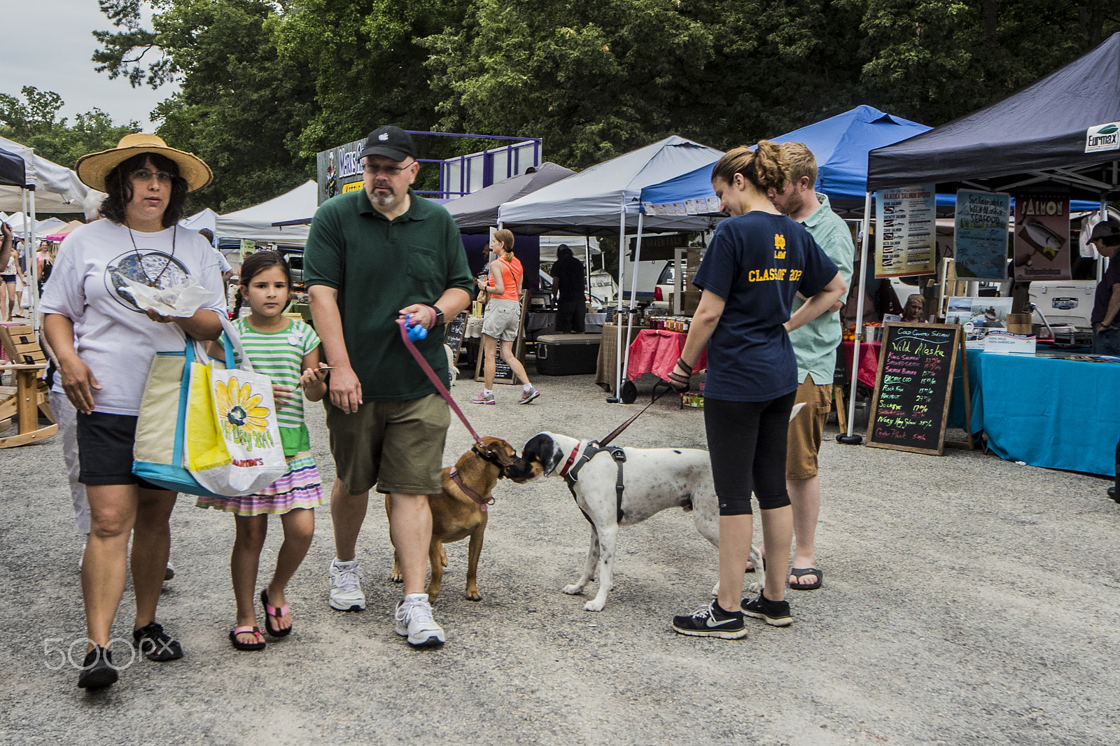 Canon EOS-1D X Mark II sample photo. Dogs meeting at market 10592c photography