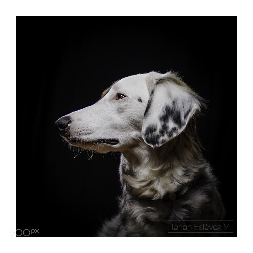 Tamron AF 70-300mm F4-5.6 Di LD Macro sample photo. Tacha prueba de luz photography