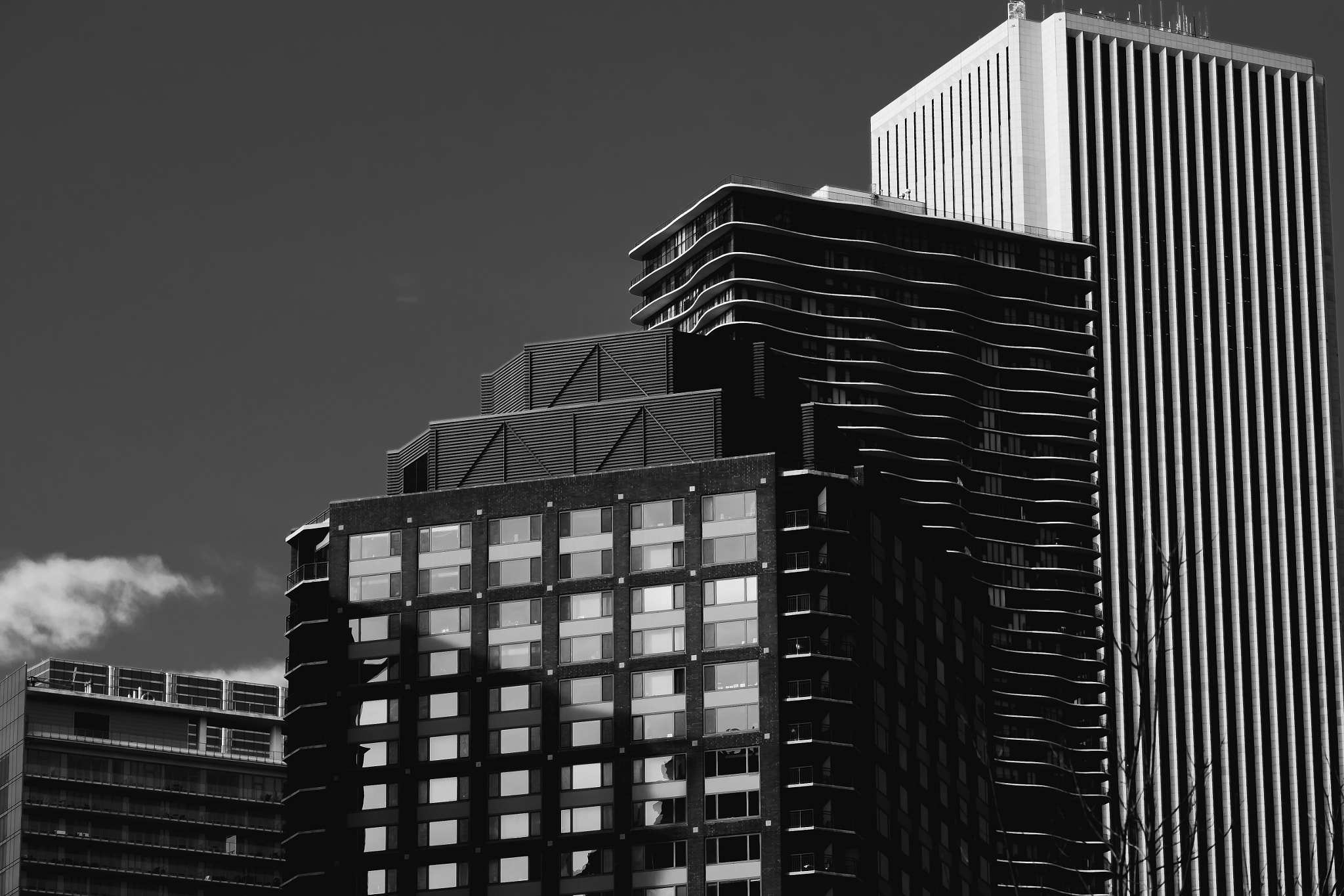 Fujifilm X-Pro1 + Fujifilm XF 55-200mm F3.5-4.8 R LM OIS sample photo. Blacks and whites photography