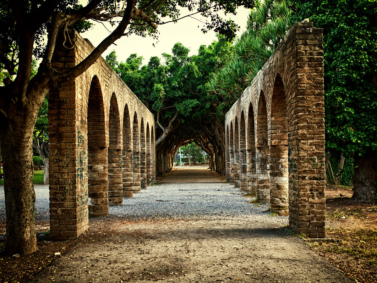 Canon EOS 5D + Canon EF 40mm F2.8 STM sample photo. Ligue arab park alley photography