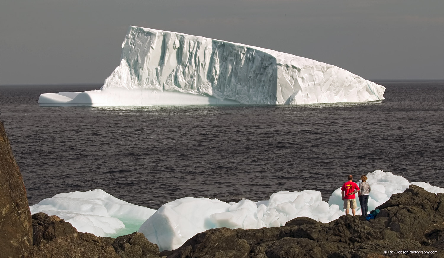 Canon EOS-1D Mark IV sample photo. Iceberg watching nl photography