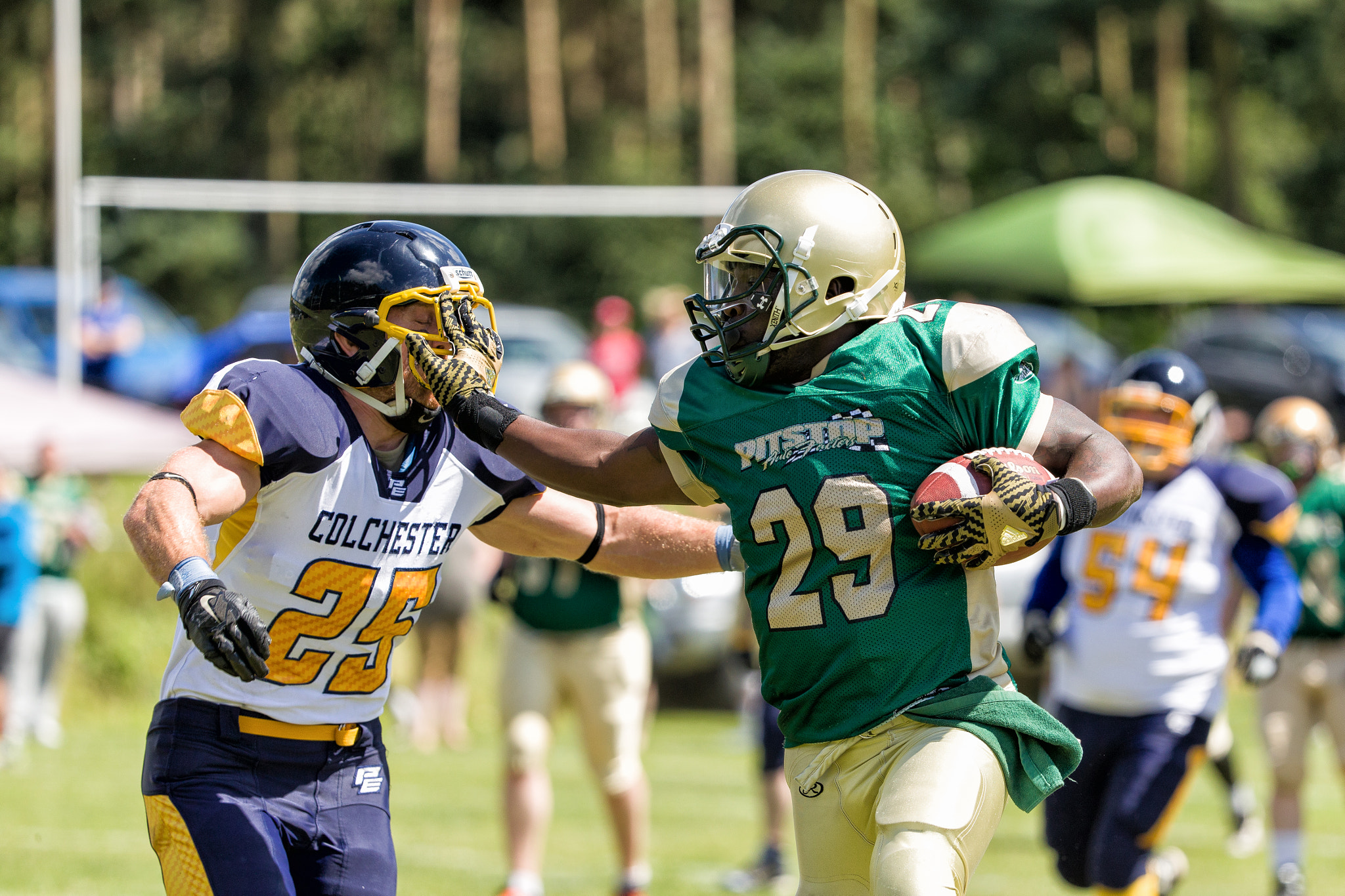 Canon EF 200-400mm F4L IS USM Extender 1.4x sample photo. The stiff arm photography