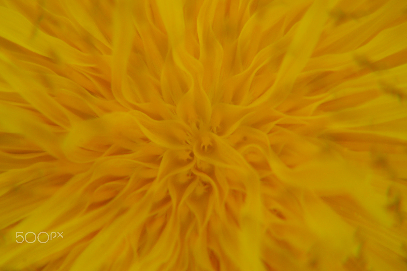 Sigma 70-300mm F4-5.6 APO Macro Super II sample photo. Center of the sun photography