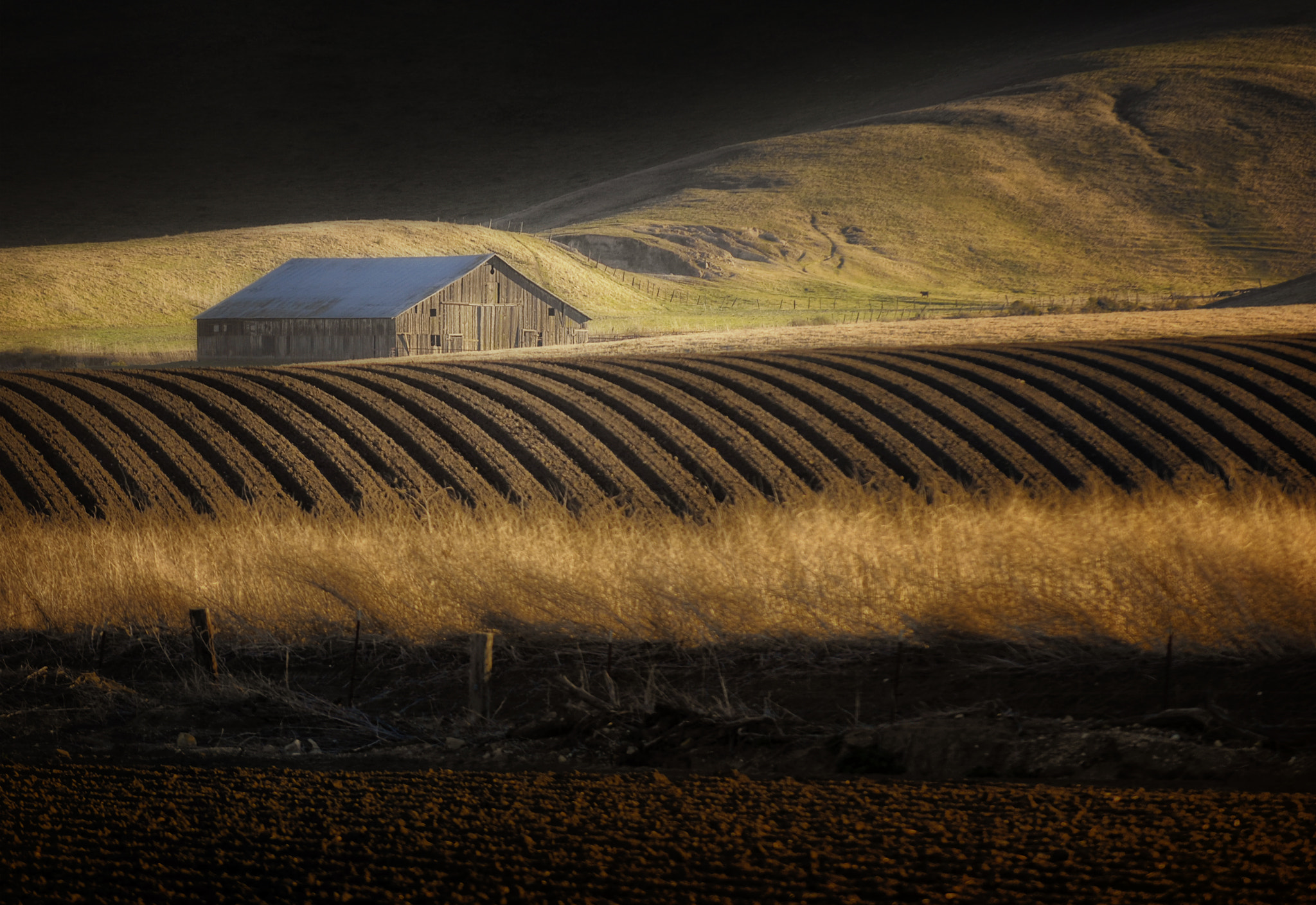 Nikon D2X sample photo. Central valley fields photography
