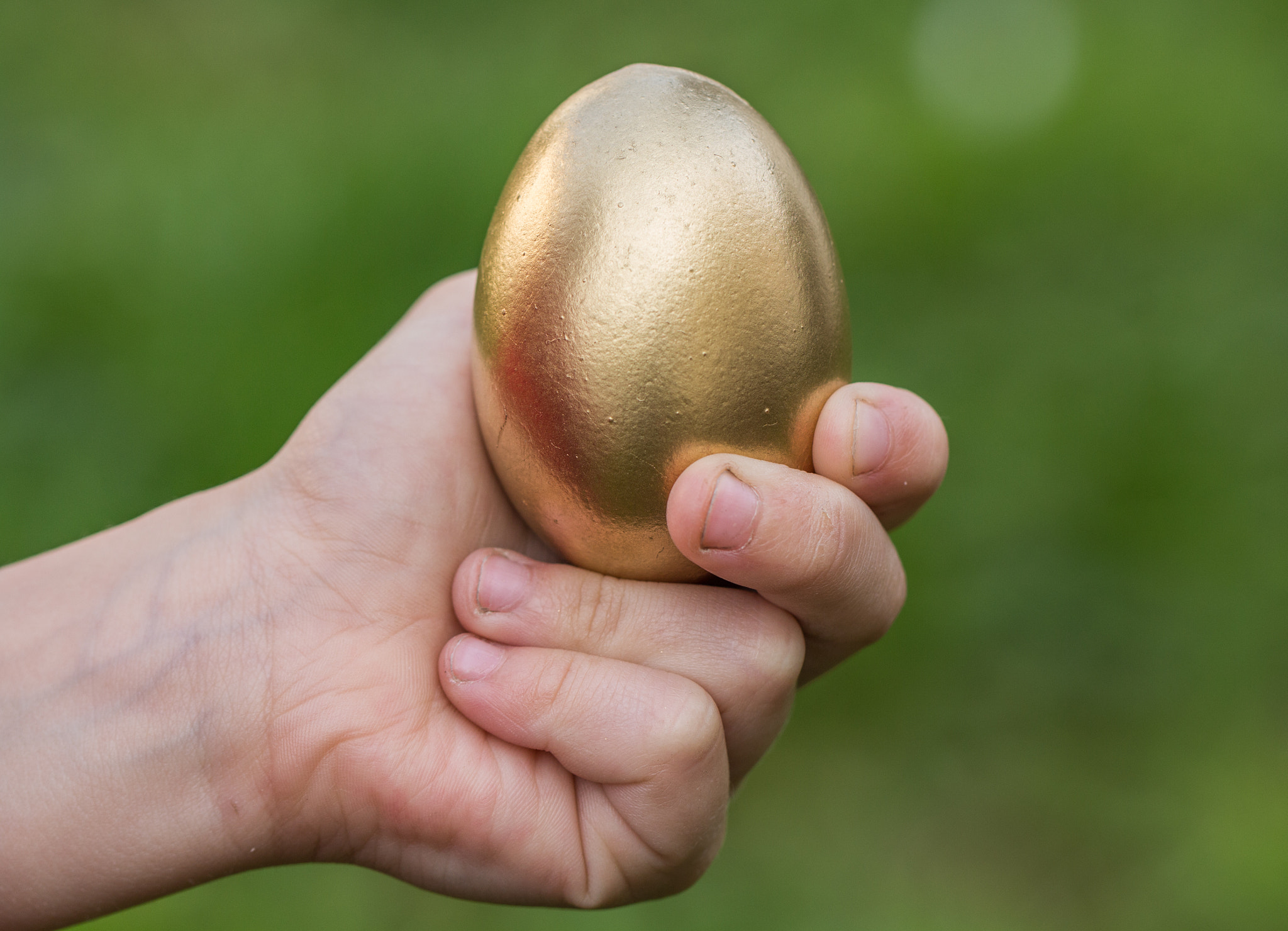 Canon EF 100mm F2.8L Macro IS USM sample photo. Golden egg photography