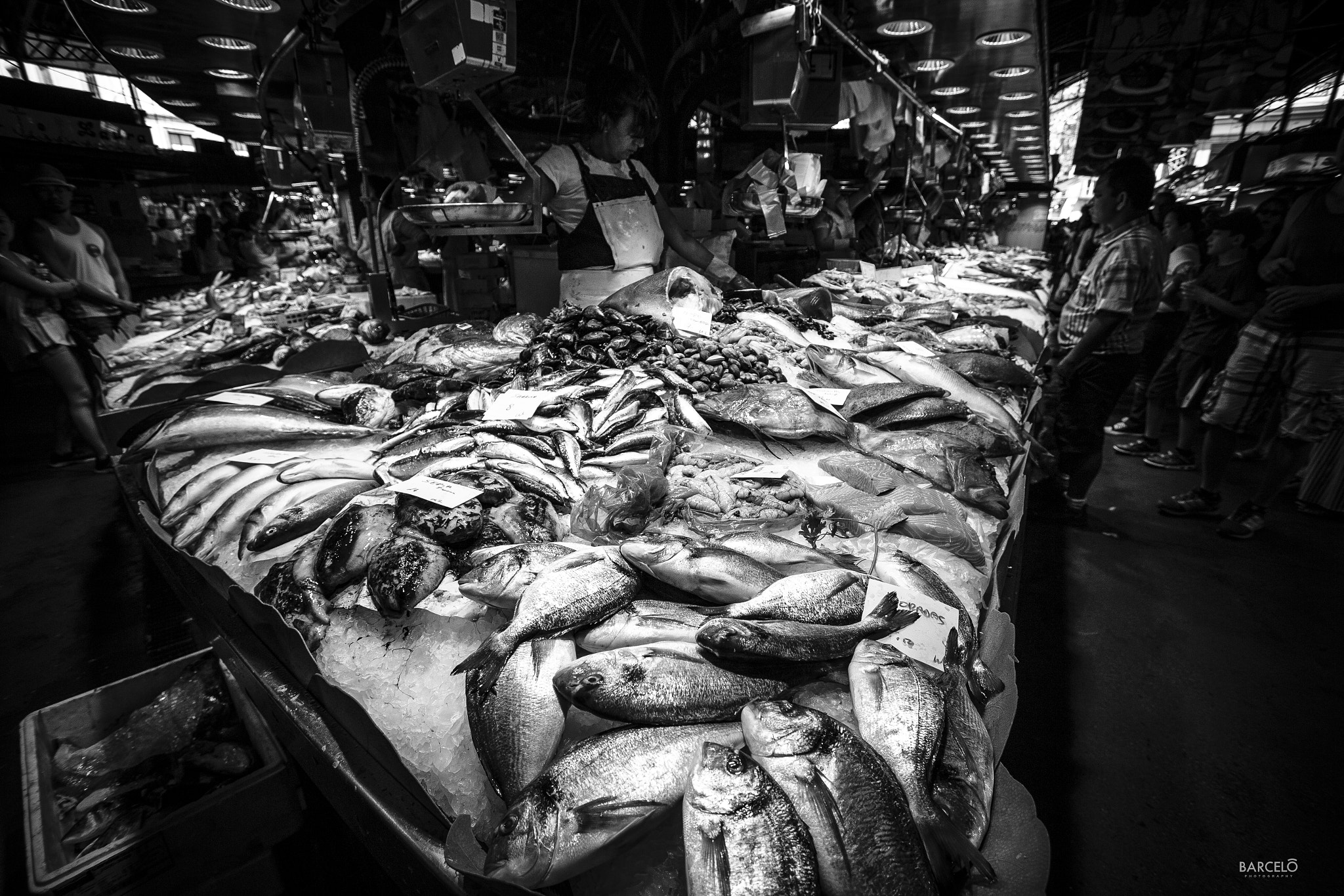 Canon EF-S 10-22mm F3.5-4.5 USM sample photo. *** photography