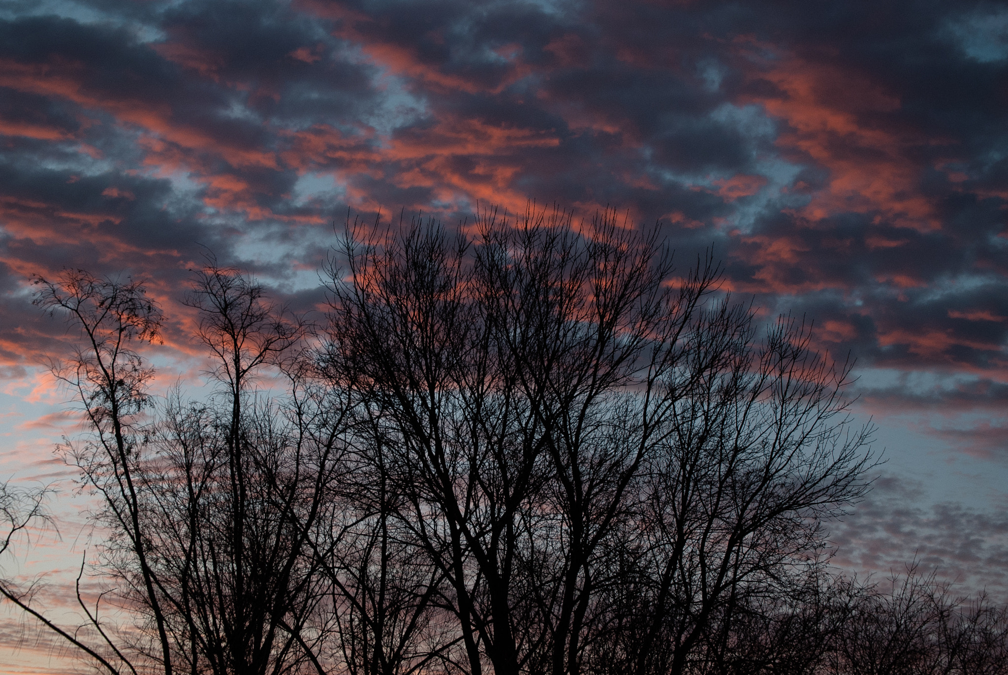 Nikon D80 sample photo. Siluetas photography
