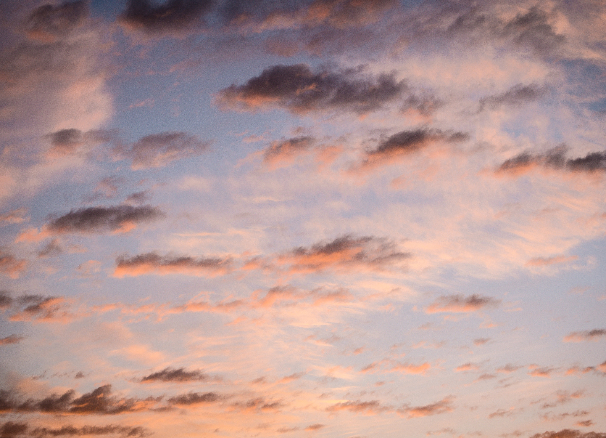 Nikon D80 sample photo. Nubes photography