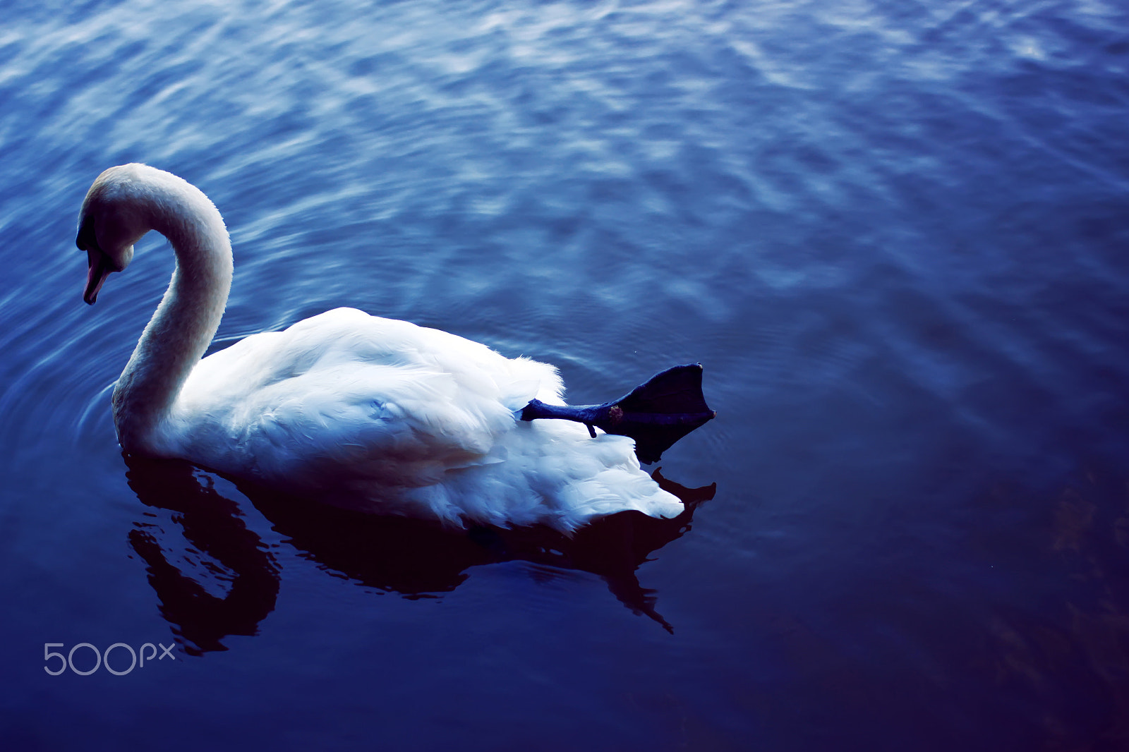 Canon EOS 50D + Canon EF 40mm F2.8 STM sample photo. Solitude photography