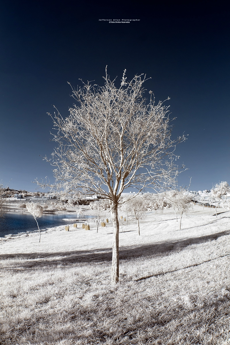 Canon EOS 7D + Canon EF 8-15mm F4L Fisheye USM sample photo. Infrared photography