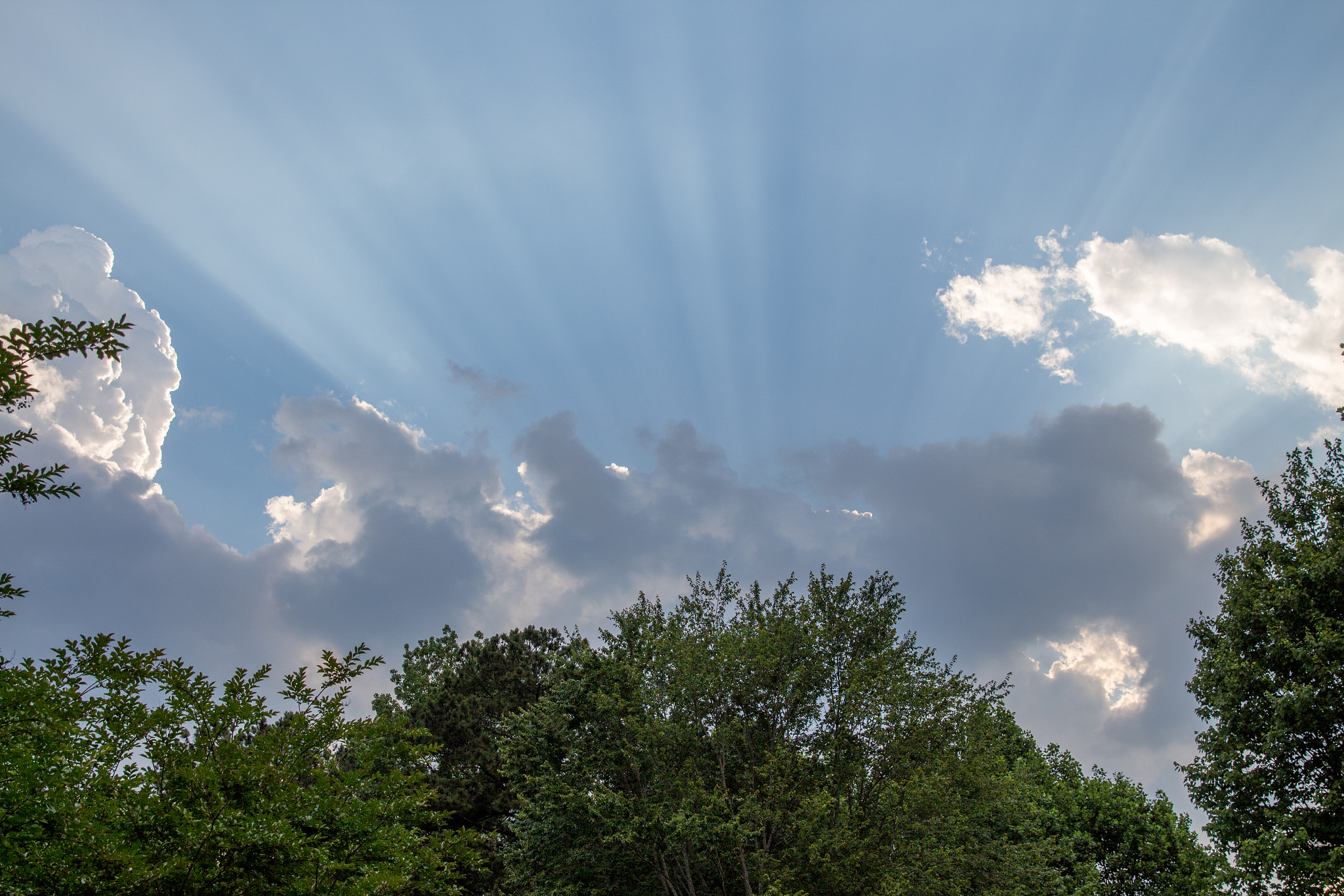 Canon EOS 650D (EOS Rebel T4i / EOS Kiss X6i) sample photo. Light rays photography