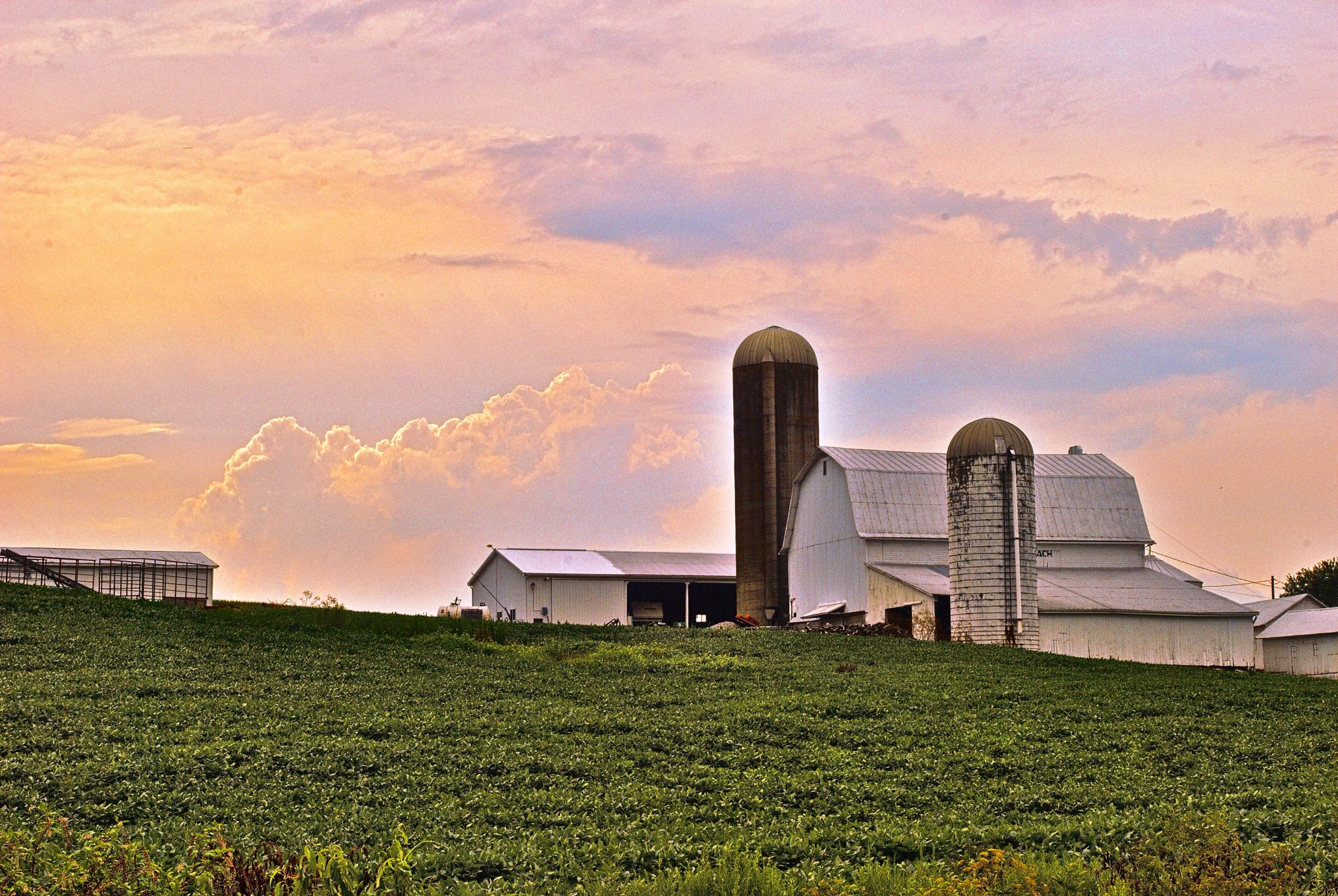 Nikon D200 sample photo. Barn beneath golden sky photography