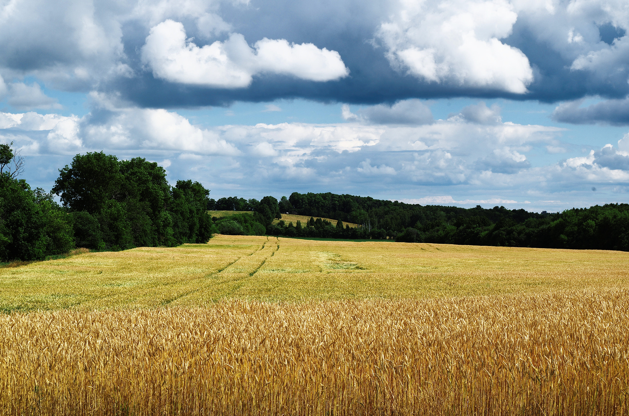 Pentax K-30 sample photo. Field of dreams photography