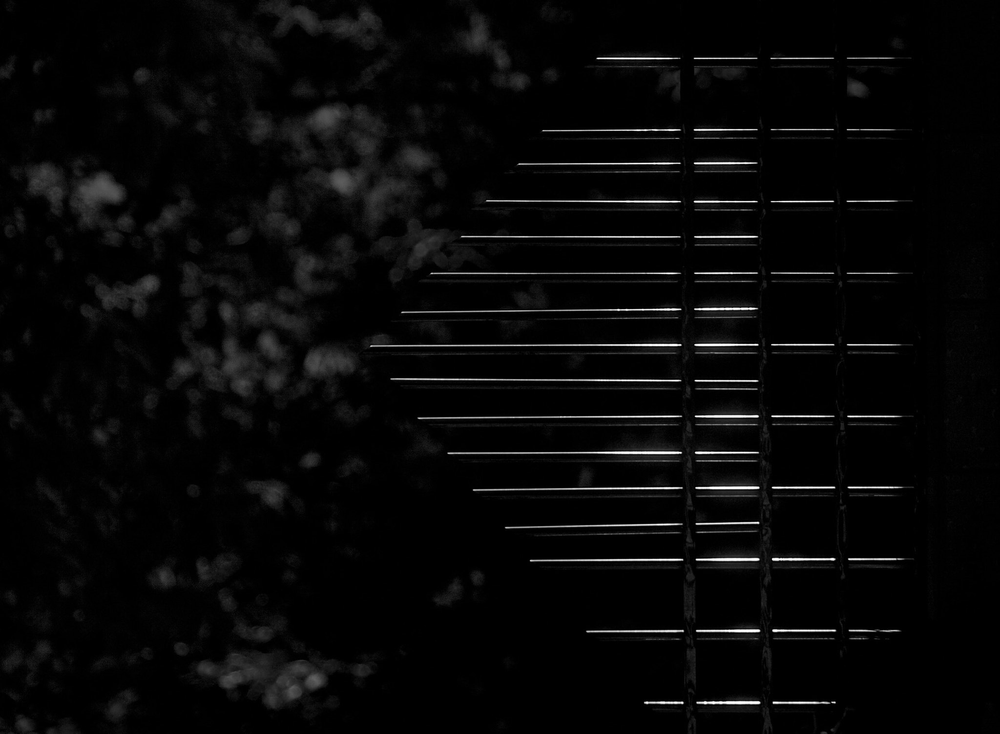 Canon EF 70-200mm F2.8L IS USM sample photo. Line photography