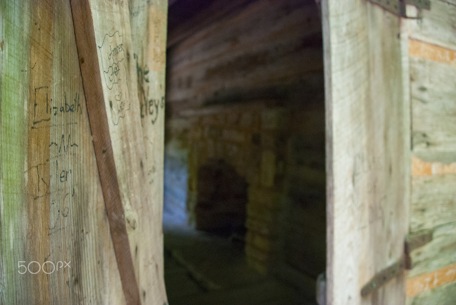 Nikon D40X sample photo. Looking in photography