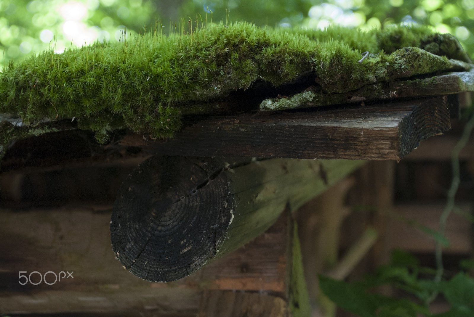 Nikon D40X sample photo. Mossy corners photography