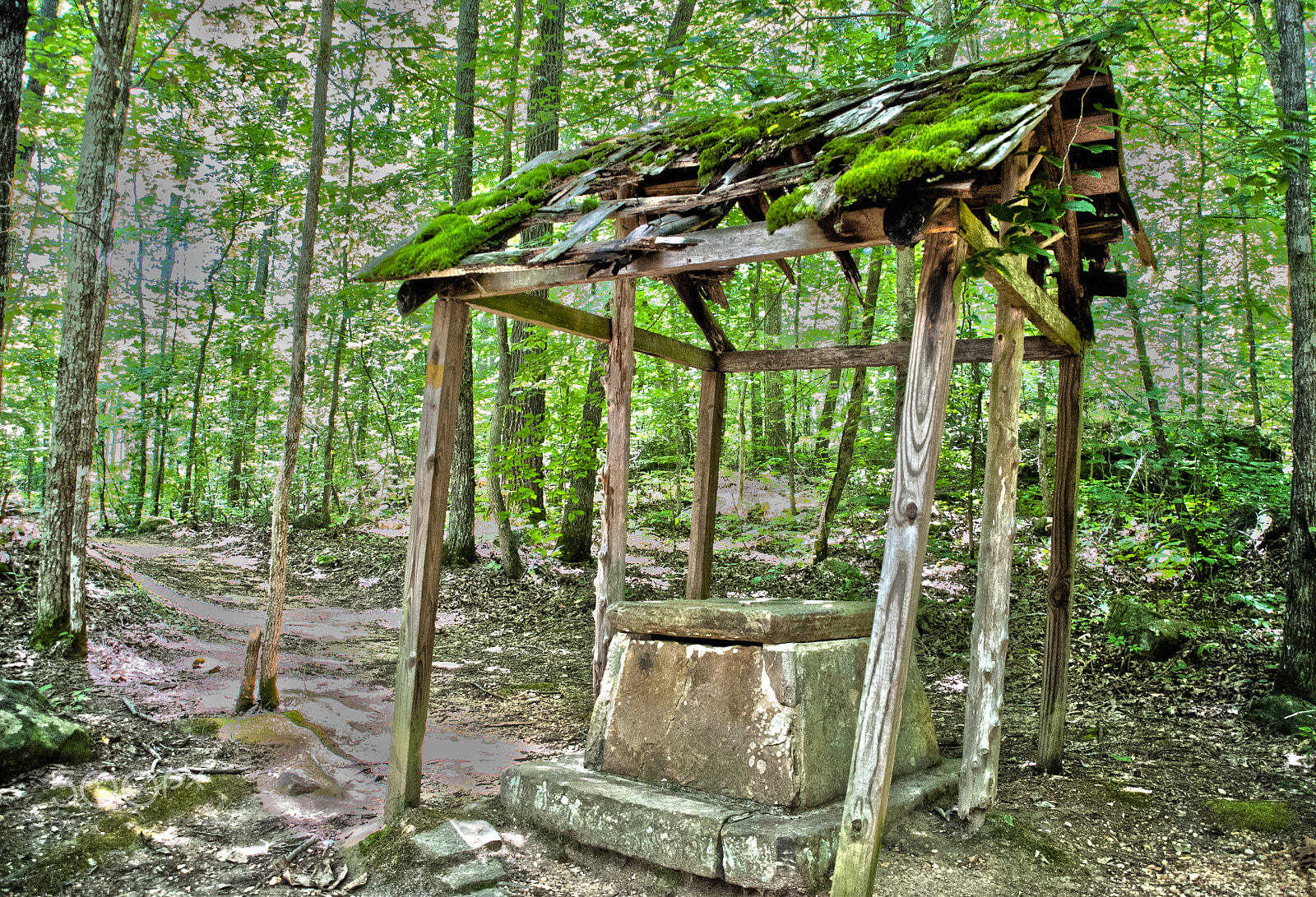 Nikon D40X sample photo. Pioneer well photography