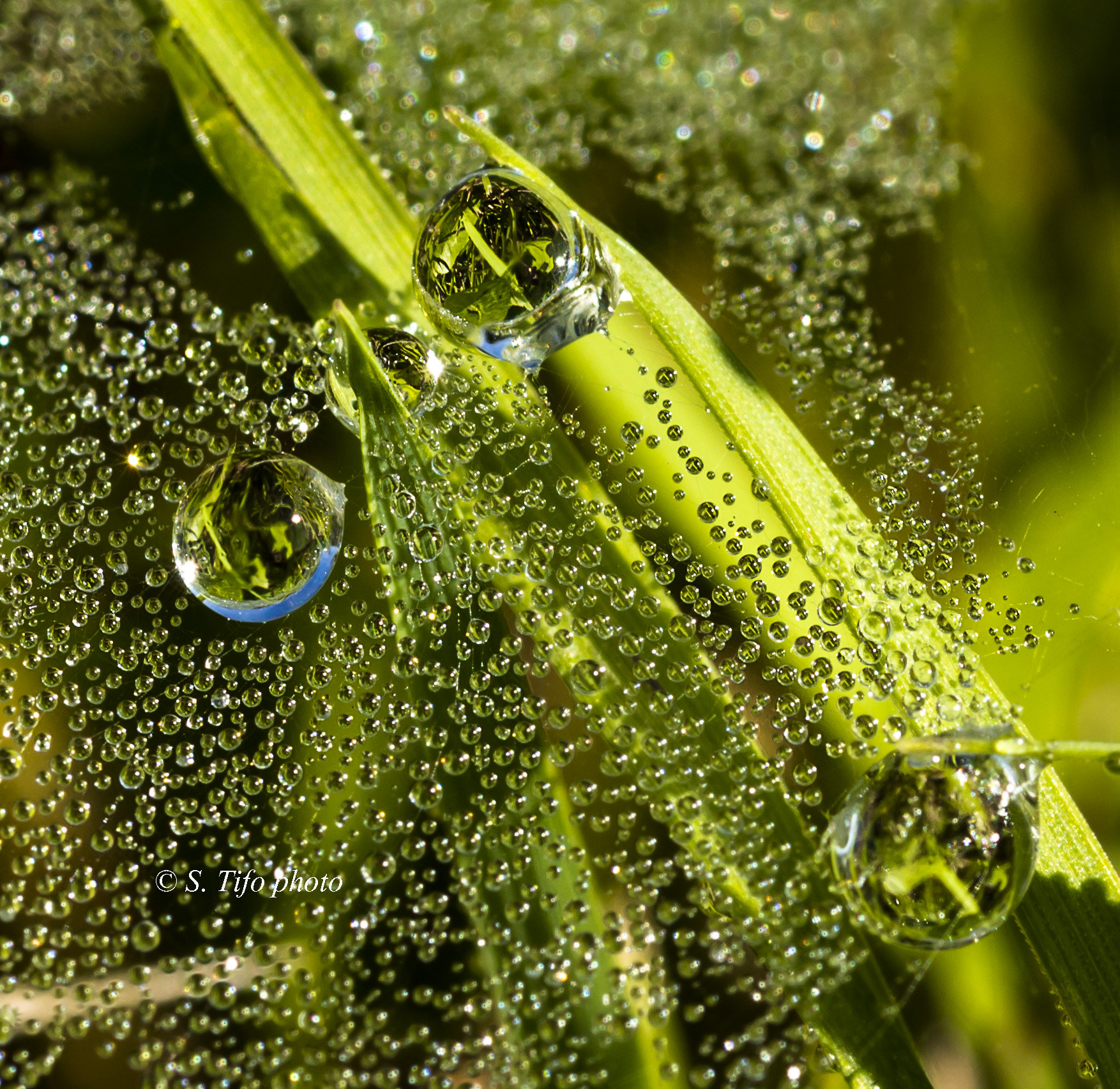Sigma 105mm F2.8 EX DG OS HSM sample photo. Thousand of reflexions ... photography