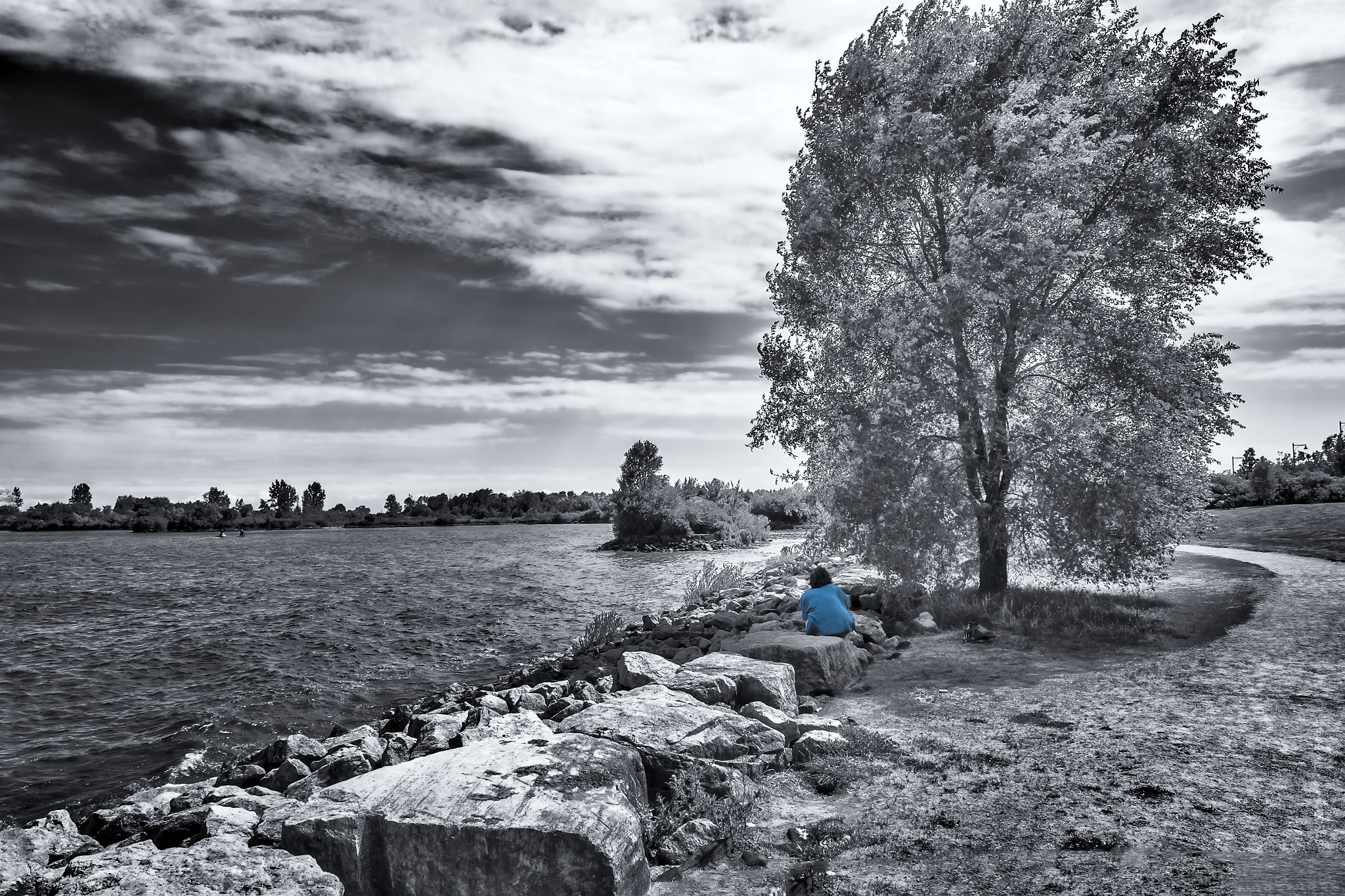 Fujifilm XC 16-50mm F3.5-5.6 OIS sample photo. Blu is the color..picture is the... photography