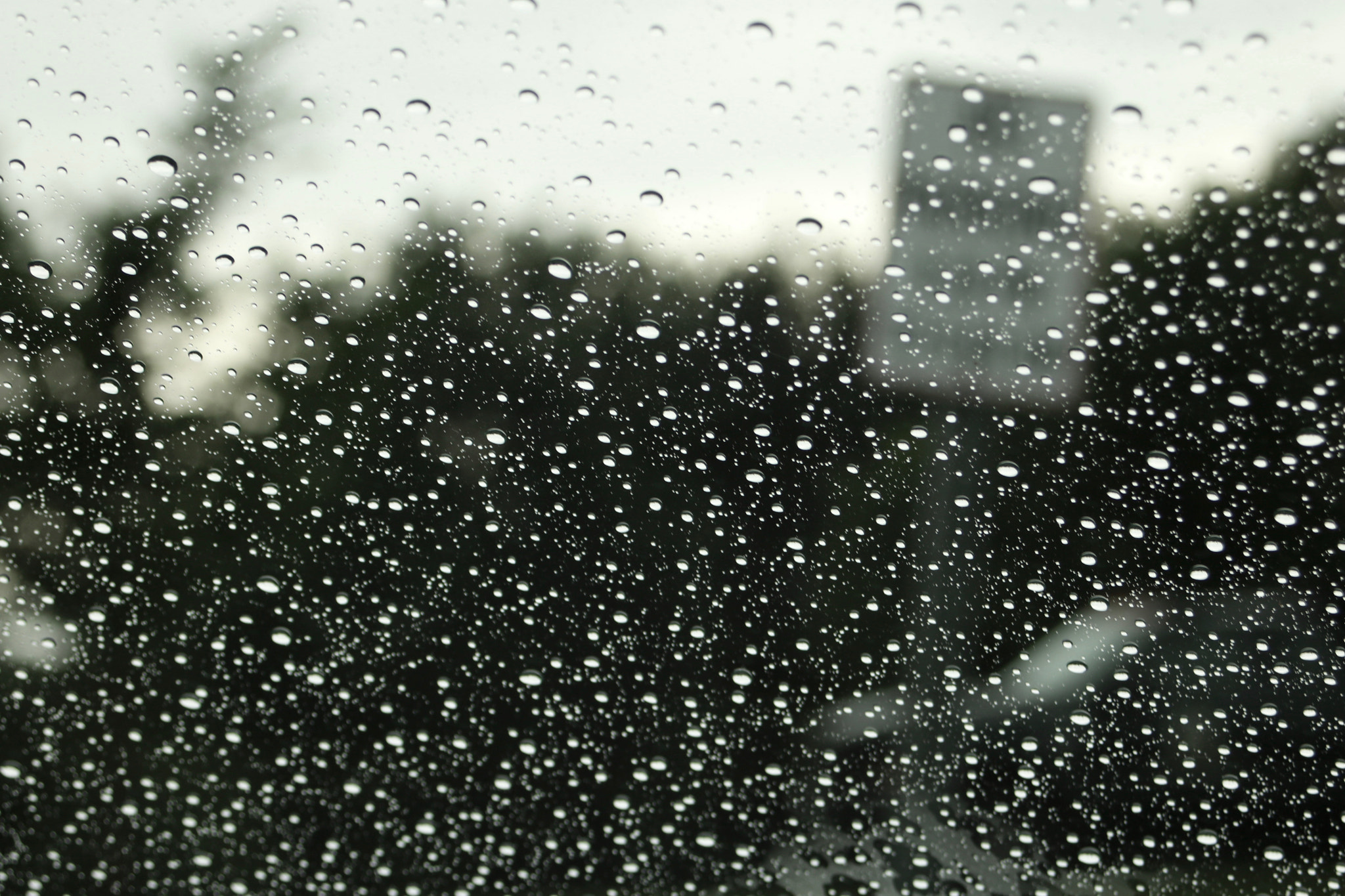 Canon EF 28-80mm f/3.5-5.6 sample photo. Another wet window pane photography