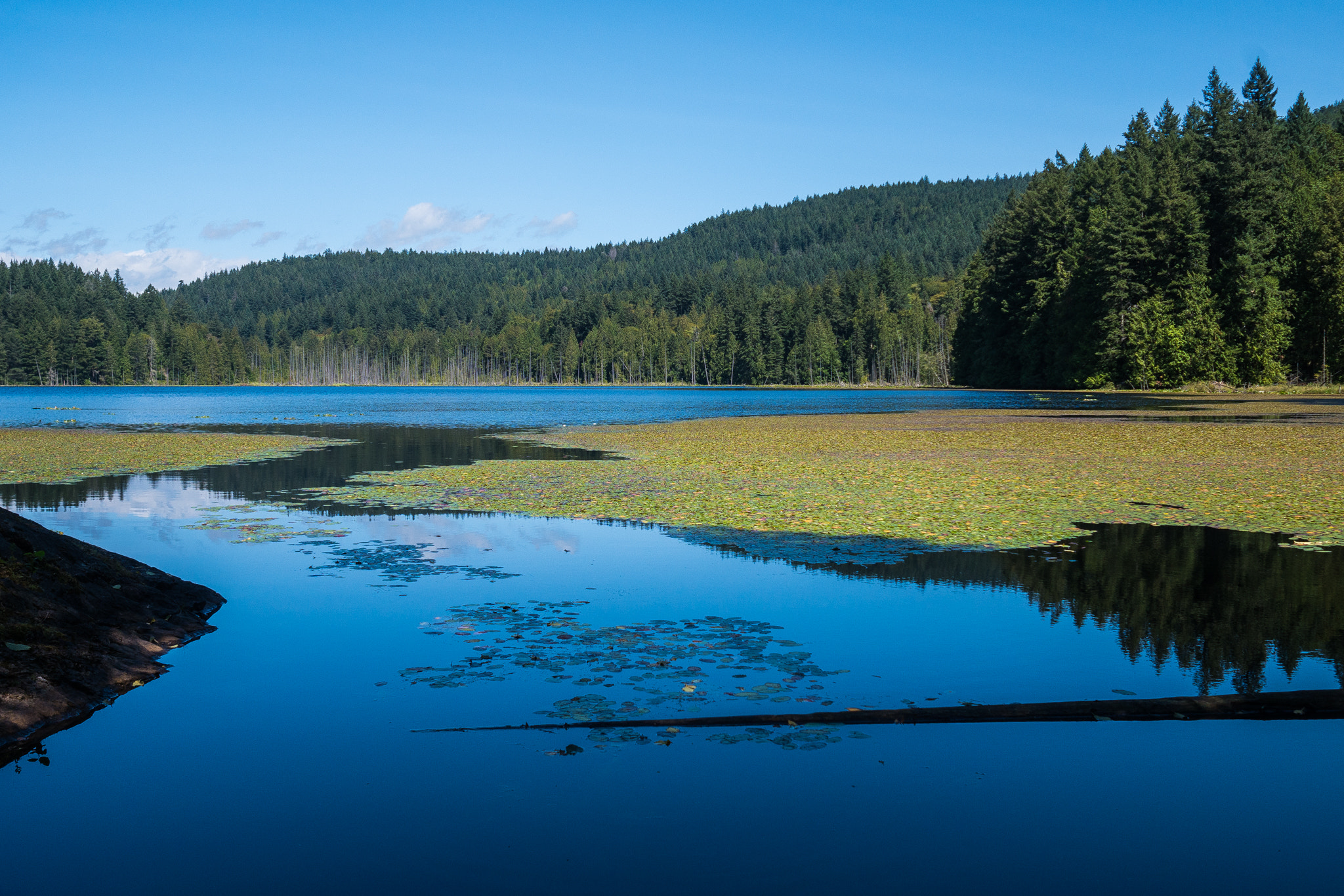 Panasonic Lumix DMC-GX7 + Olympus M.Zuiko Digital 17mm F1.8 sample photo. Killarney lake - bowen island photography