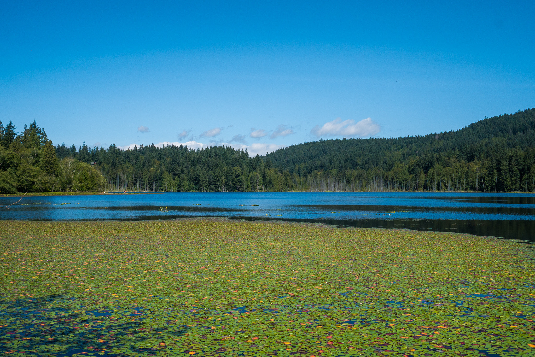 Panasonic Lumix DMC-GX7 + Olympus M.Zuiko Digital 17mm F1.8 sample photo. Killarney lake - bowen island photography