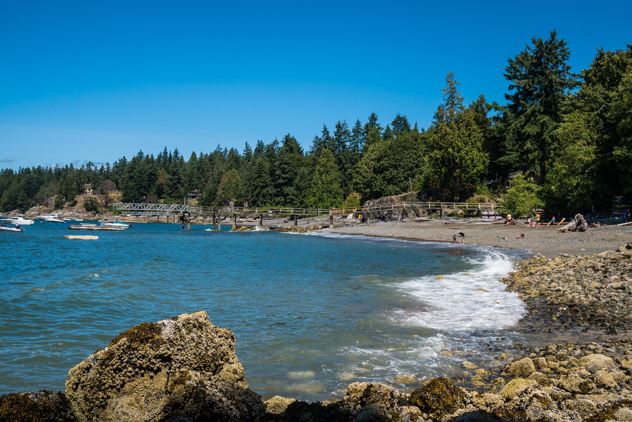 Panasonic Lumix DMC-GX7 sample photo. Bowen island photography