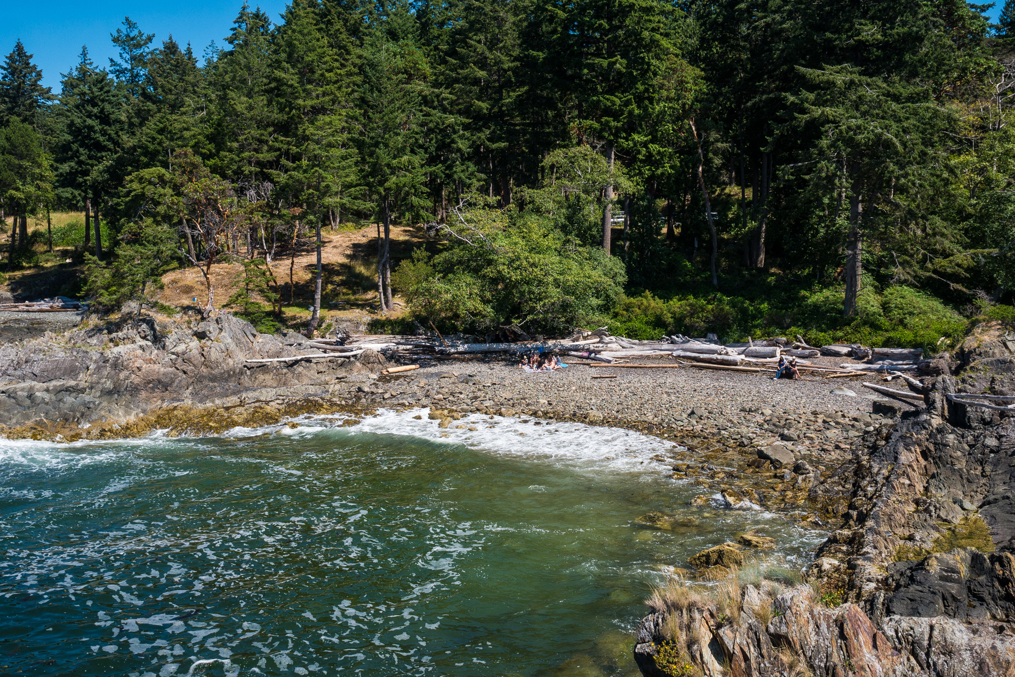 Panasonic Lumix DMC-GX7 + Olympus M.Zuiko Digital 17mm F1.8 sample photo. Bowen island photography