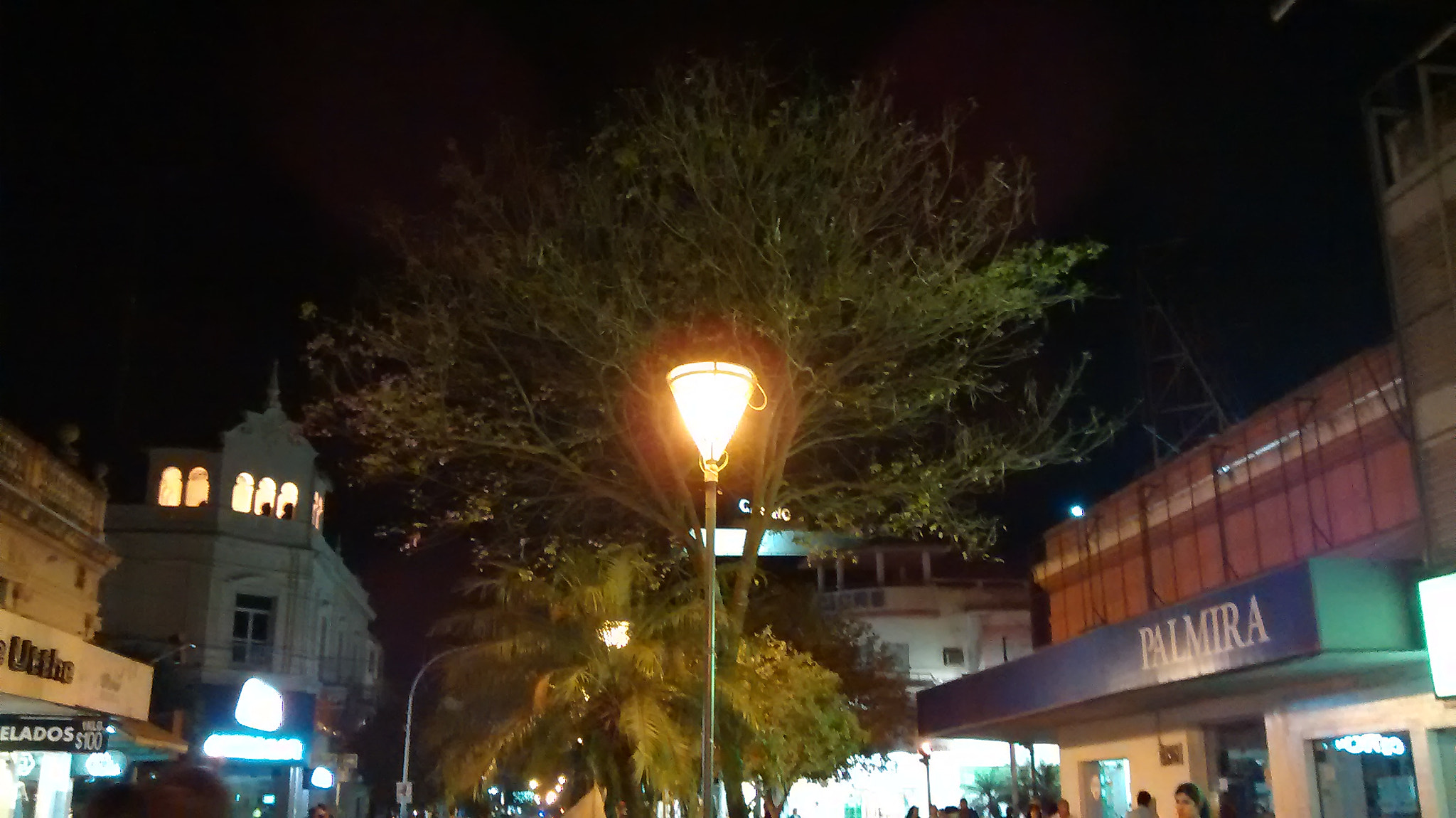 Motorola Moto E (1st Gen) sample photo. Luz del árbol photography