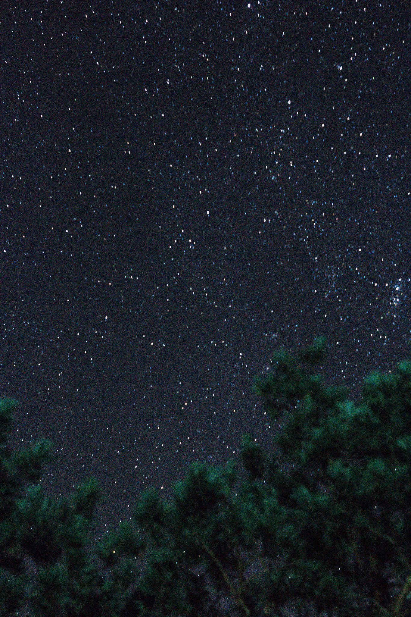 Canon EF 35-80mm f/4-5.6 sample photo. .jpg photography
