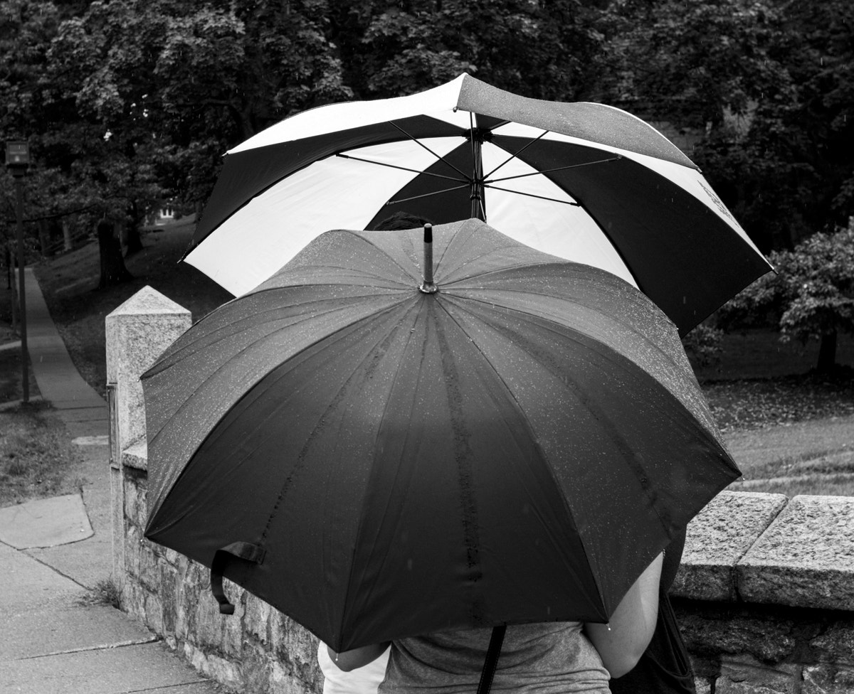 Sigma 30mm f/1.4 DC HSM sample photo. Umbrella gathering photography