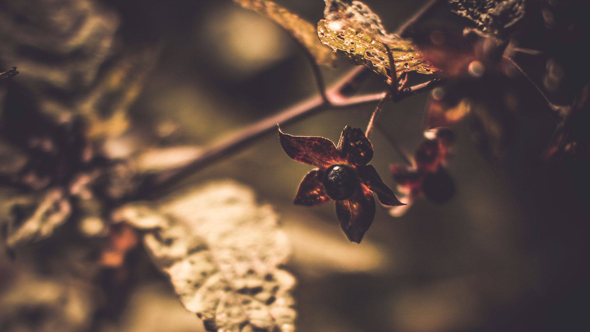 Sigma 50mm F1.4 EX DG HSM sample photo. Polykar's waterfall photography